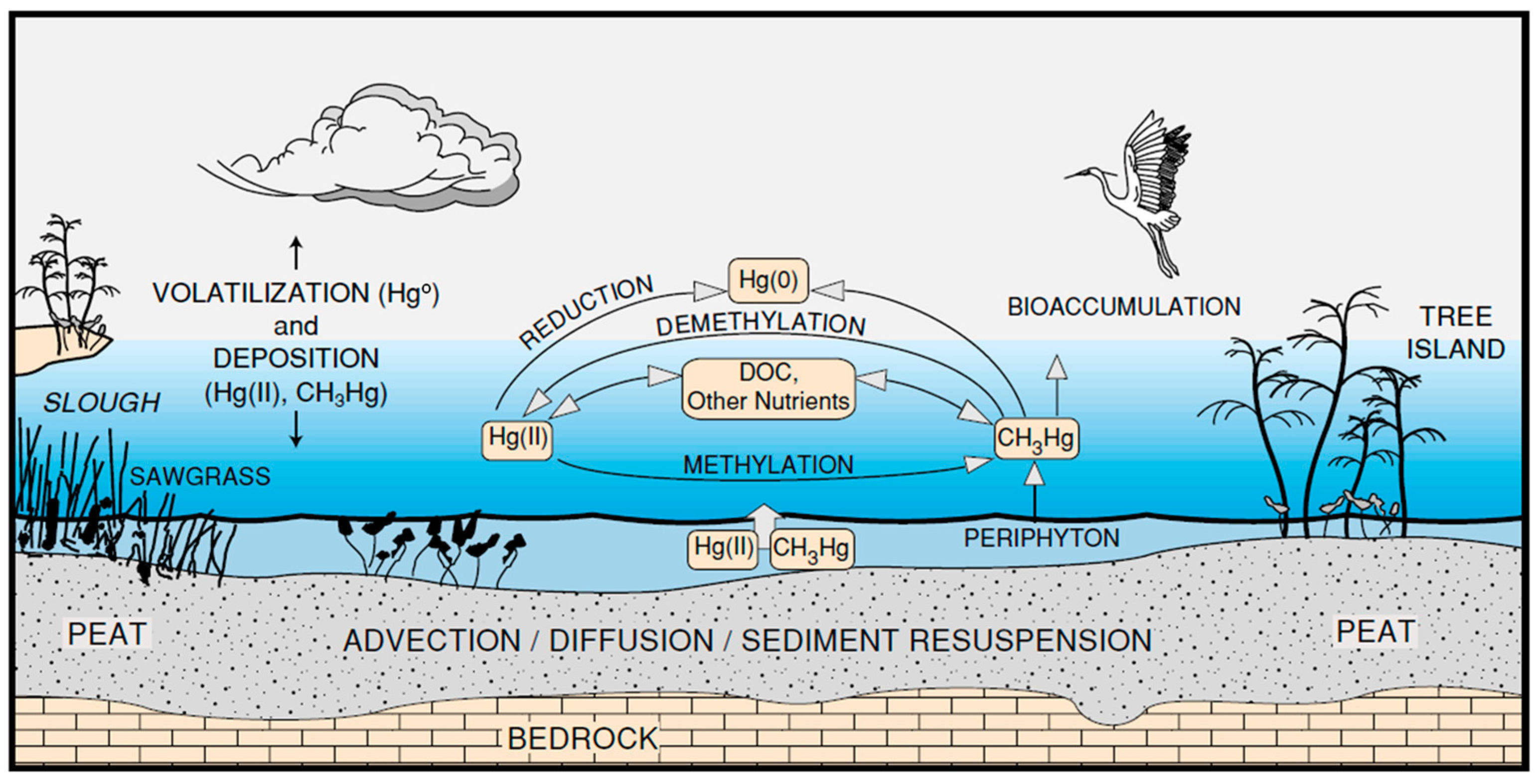 Ijerph 21 00118 g017