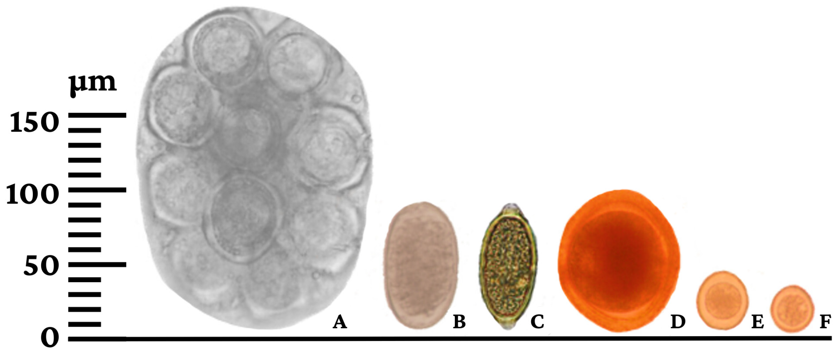 Ijerph 21 00138 g004