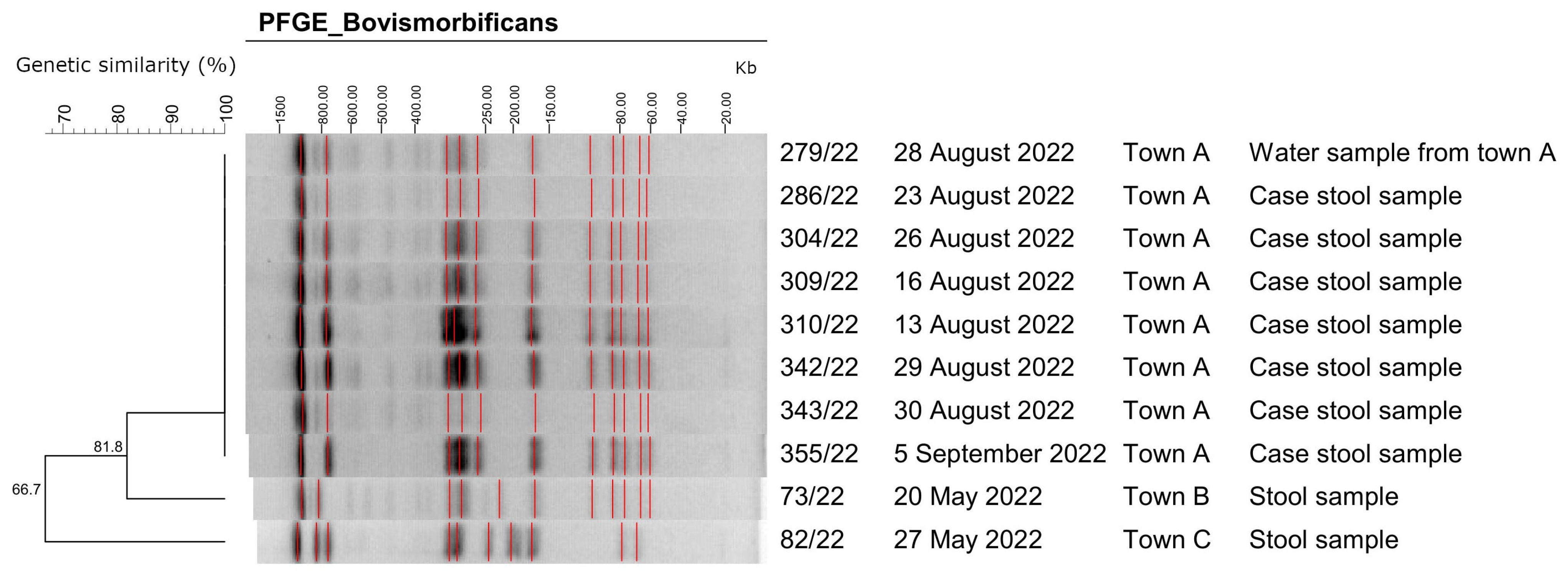Ijerph 21 00167 g003
