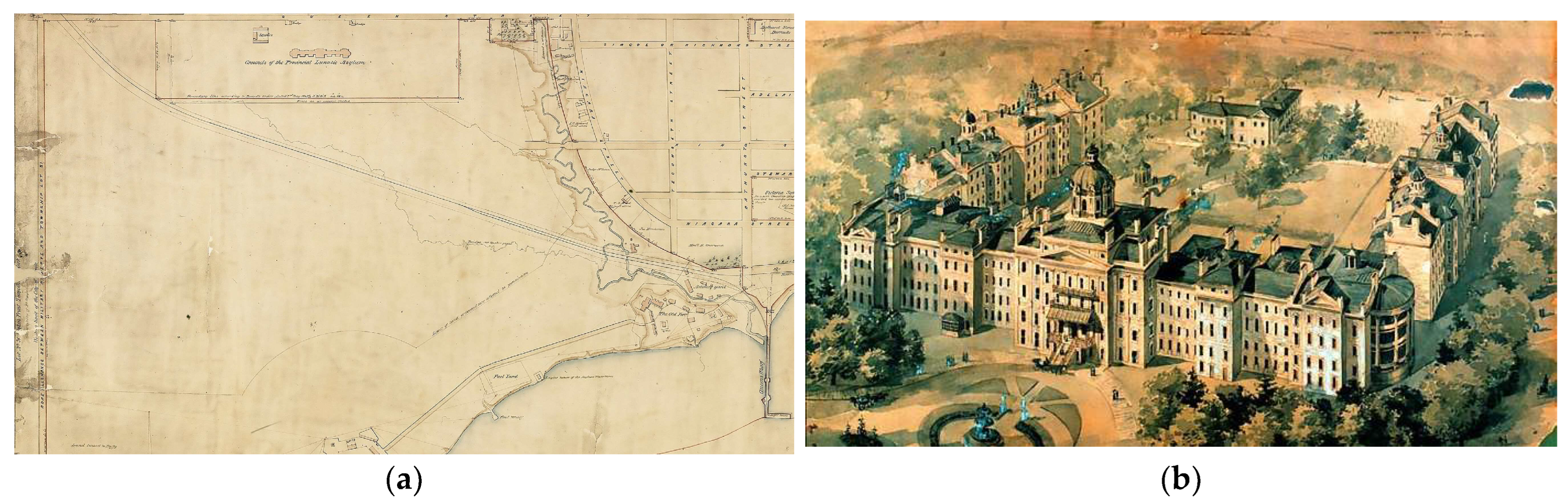 Ijerph 21 00282 g001