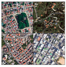 Ijerph 21 00365 i001