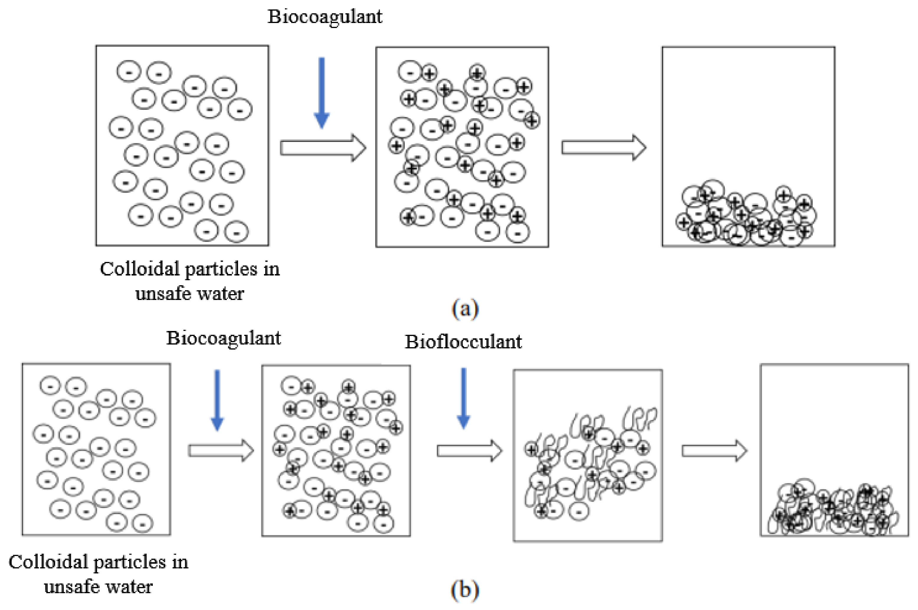 Ijerph 21 00519 g001
