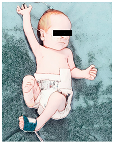 Ijerph 21 00538 i006