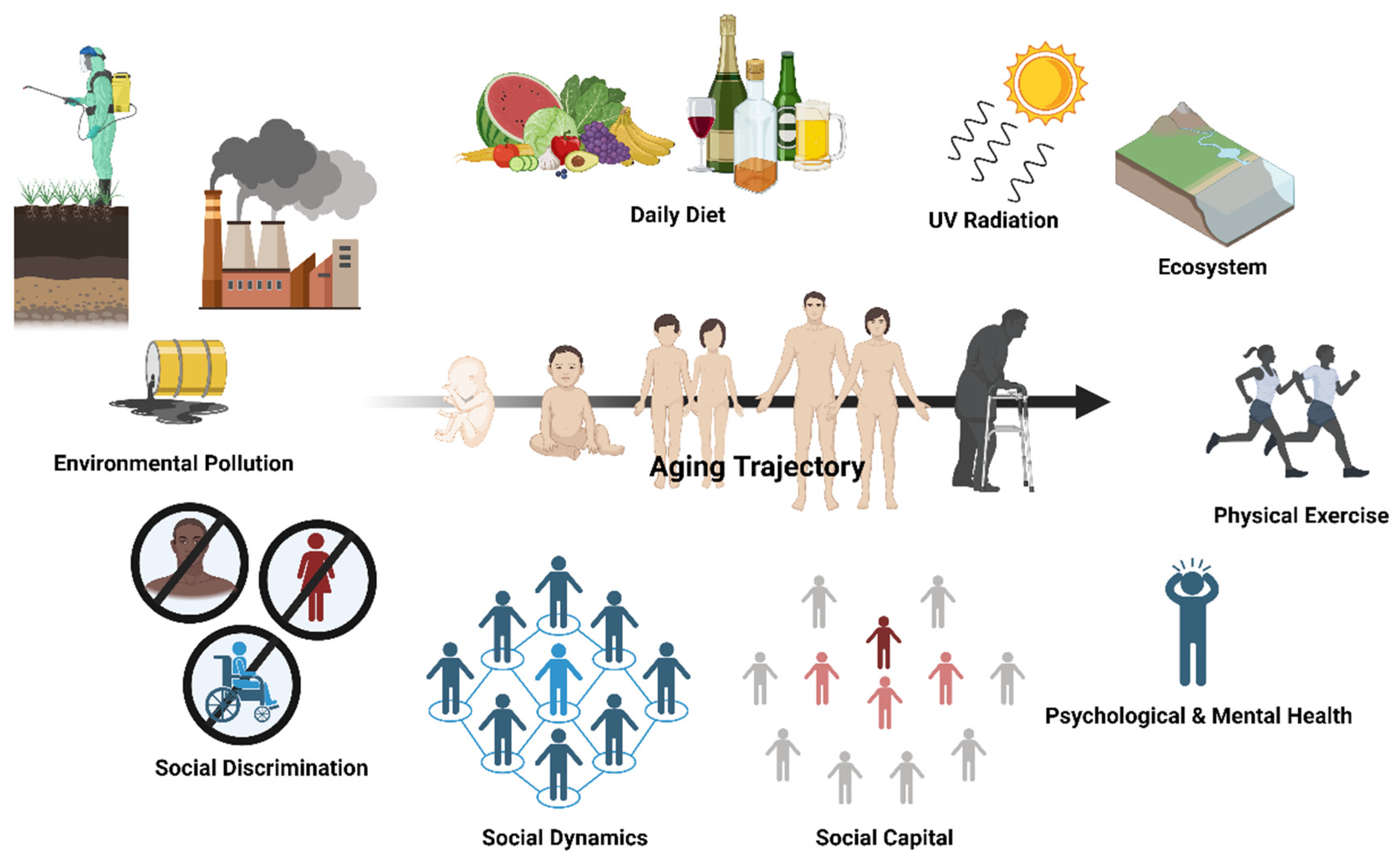 Ijerph 21 00554 g001