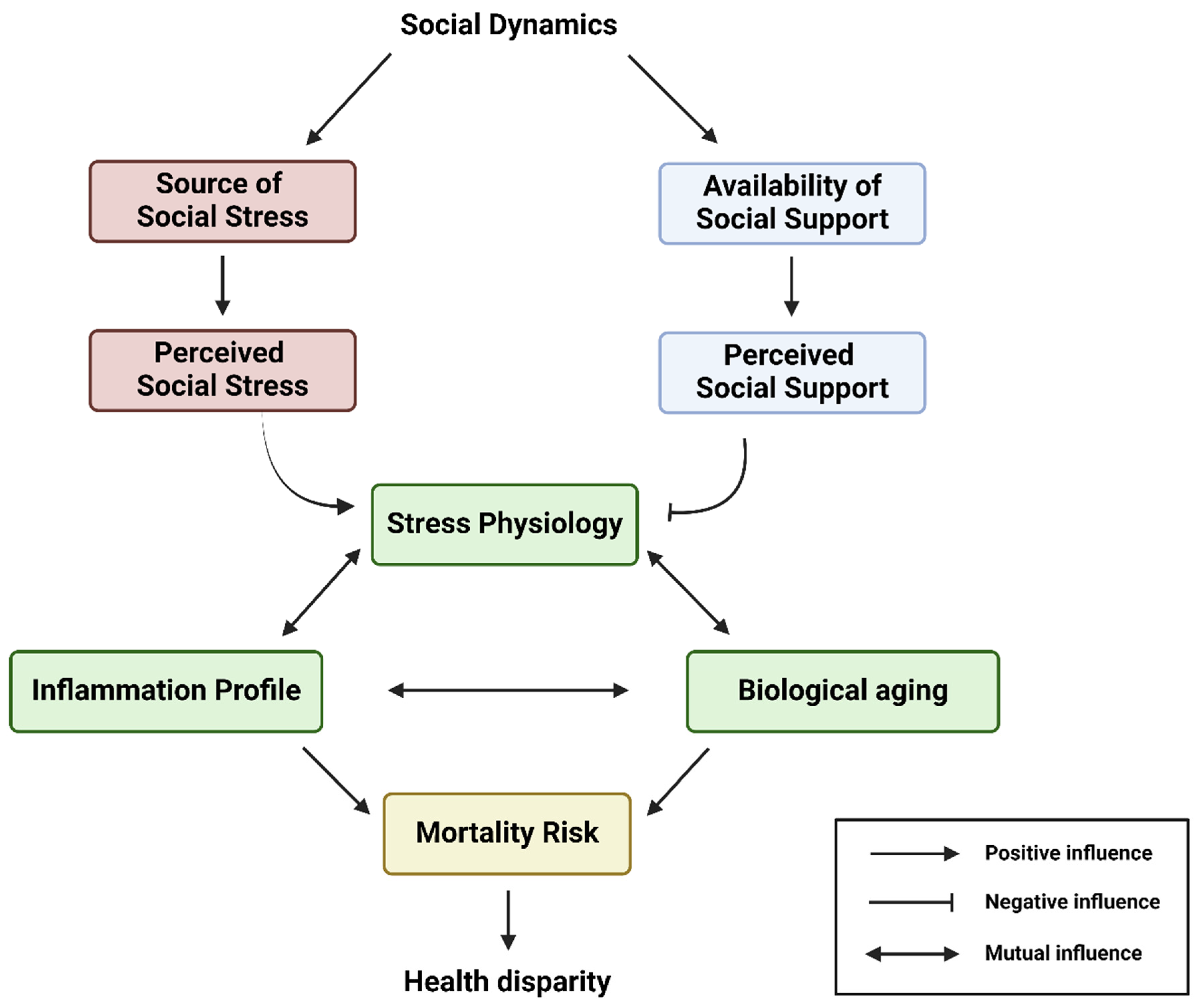 Ijerph 21 00554 g002