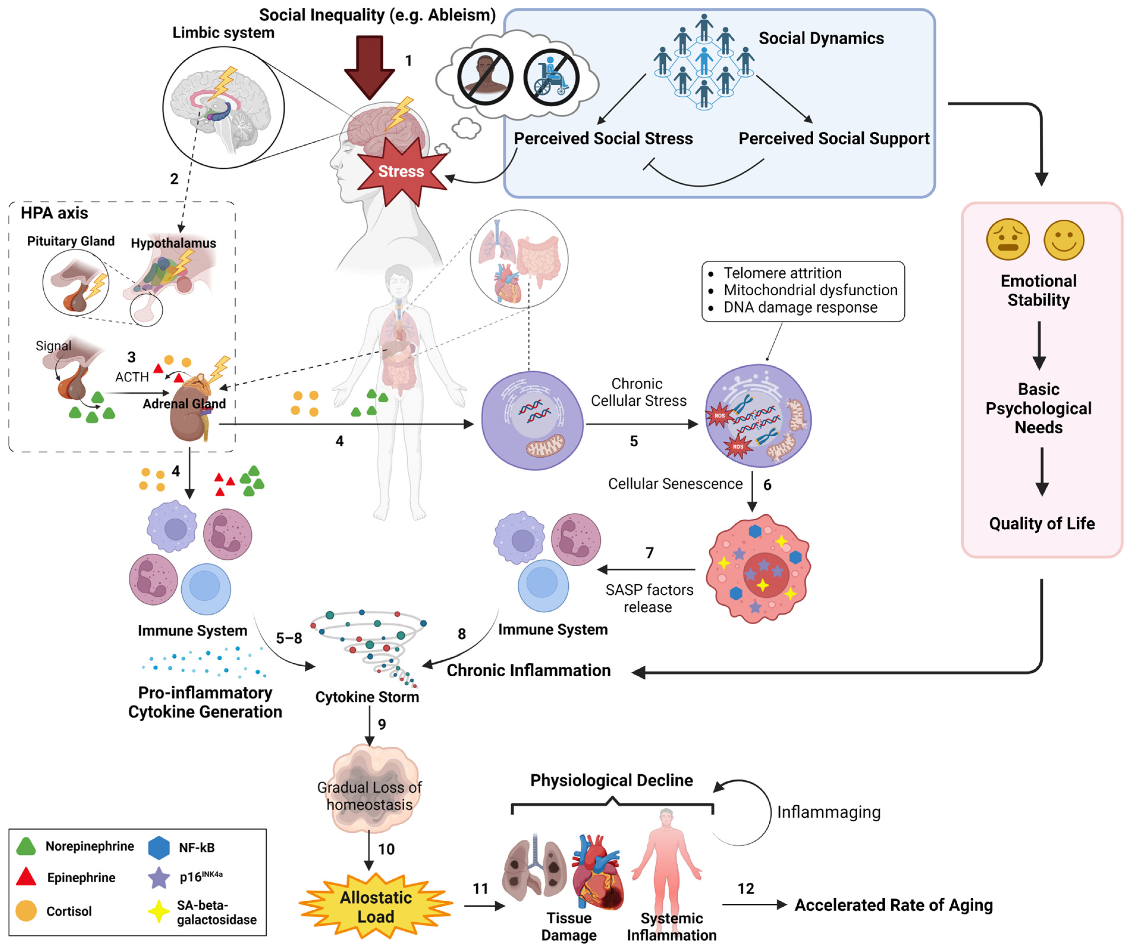Ijerph 21 00554 g003