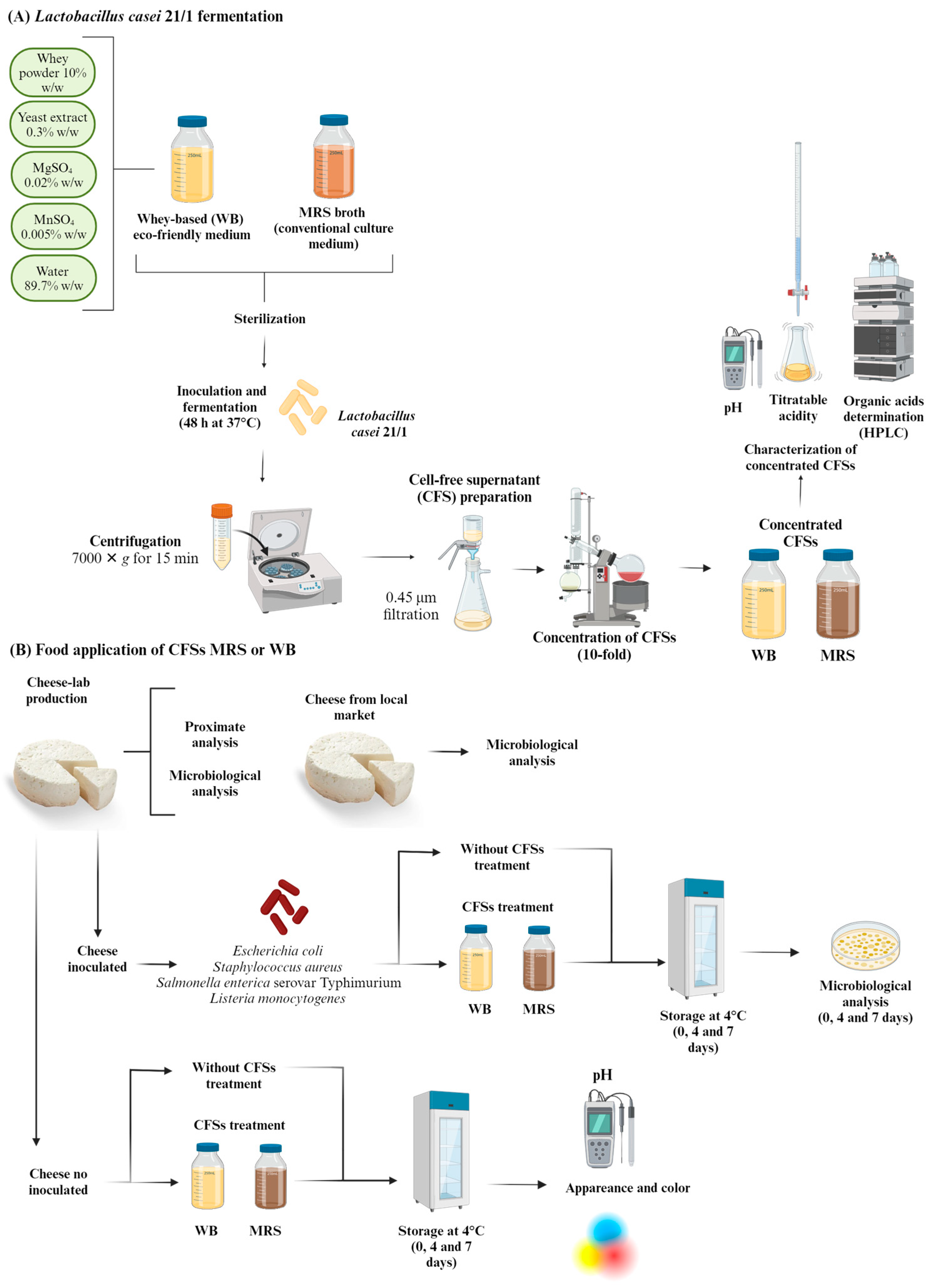 Ijerph 21 00560 g001