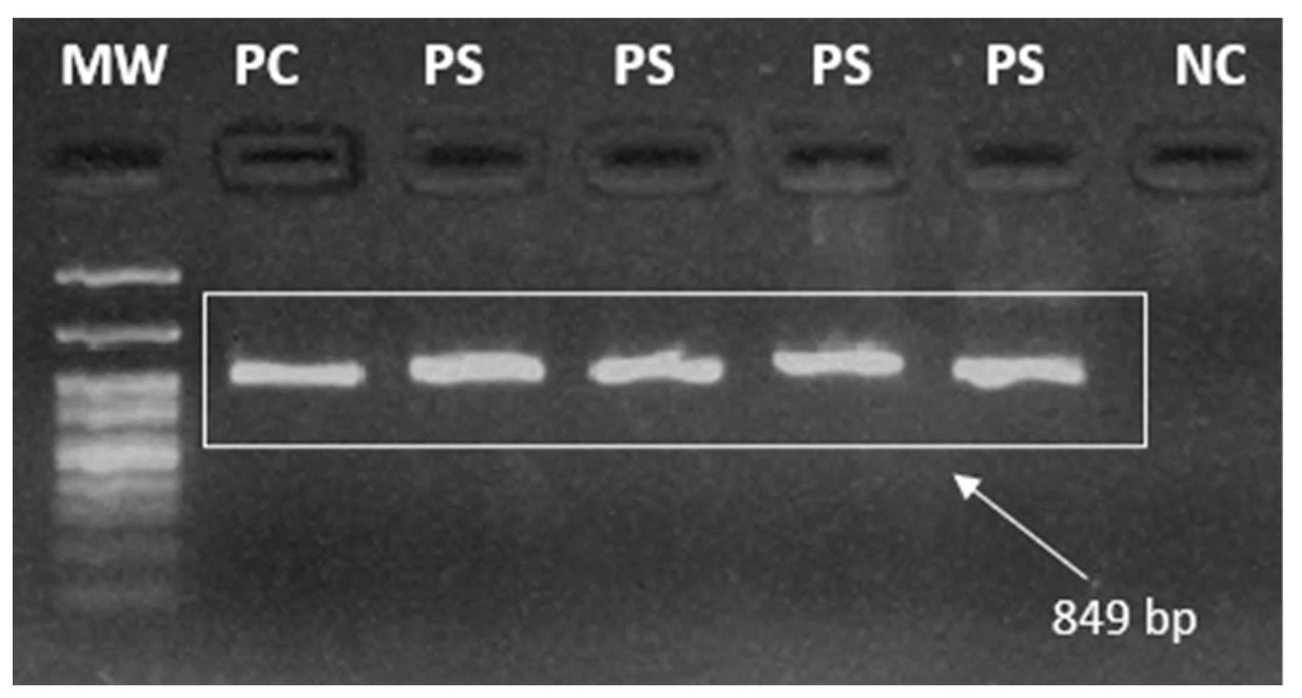 Ijerph 21 00679 g003