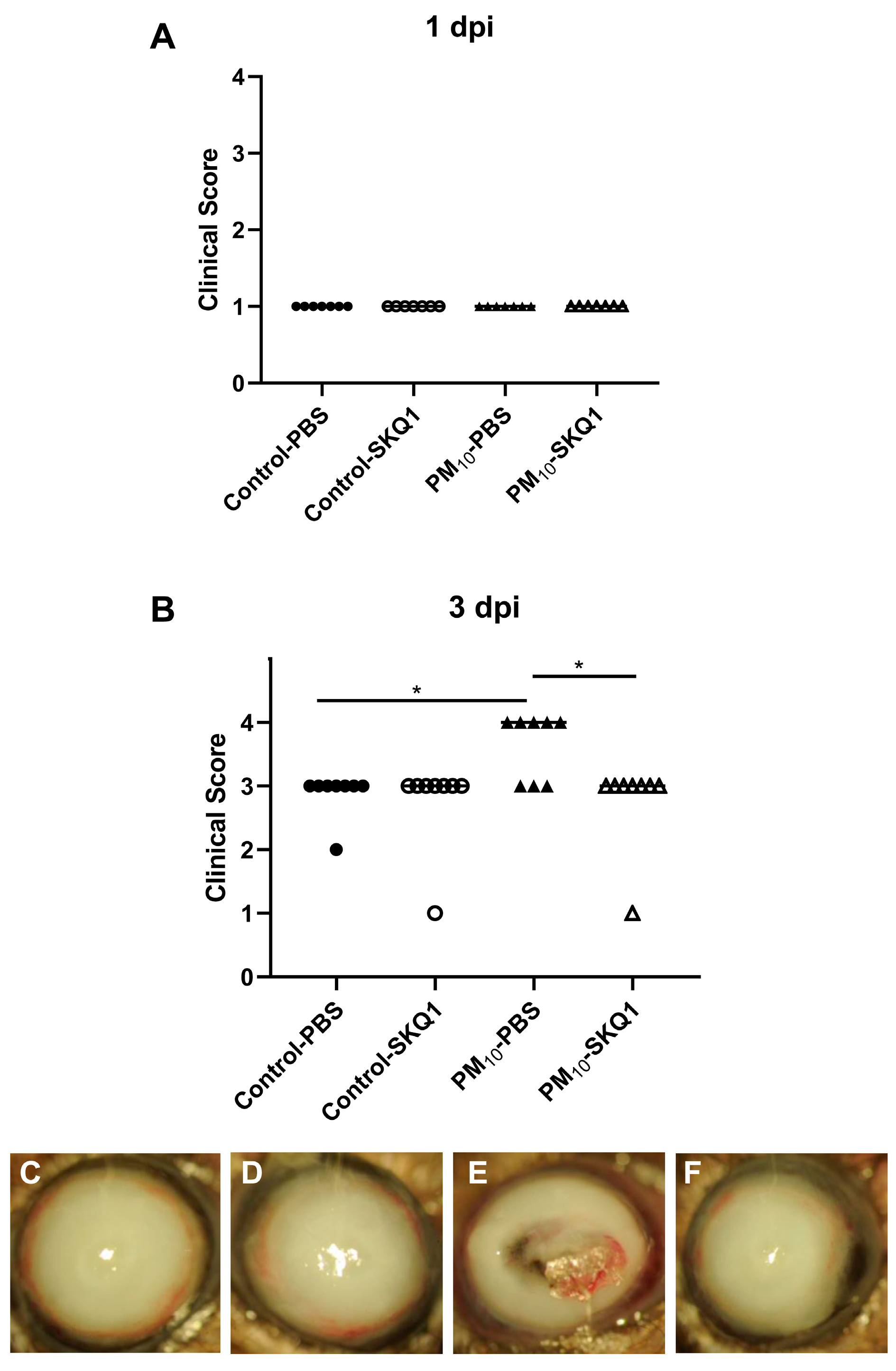 Ijerph 21 00722 g001