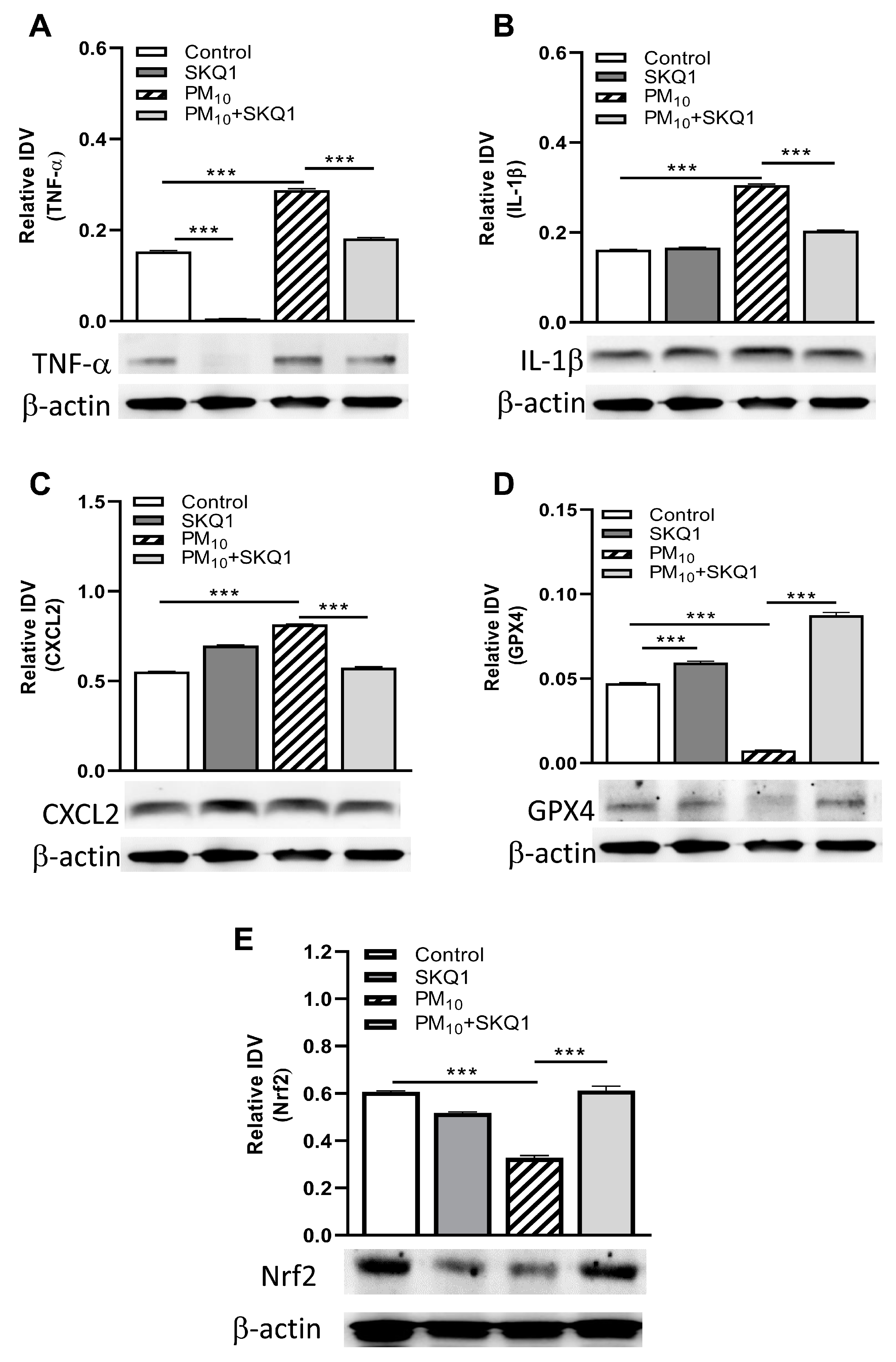 Ijerph 21 00722 g004