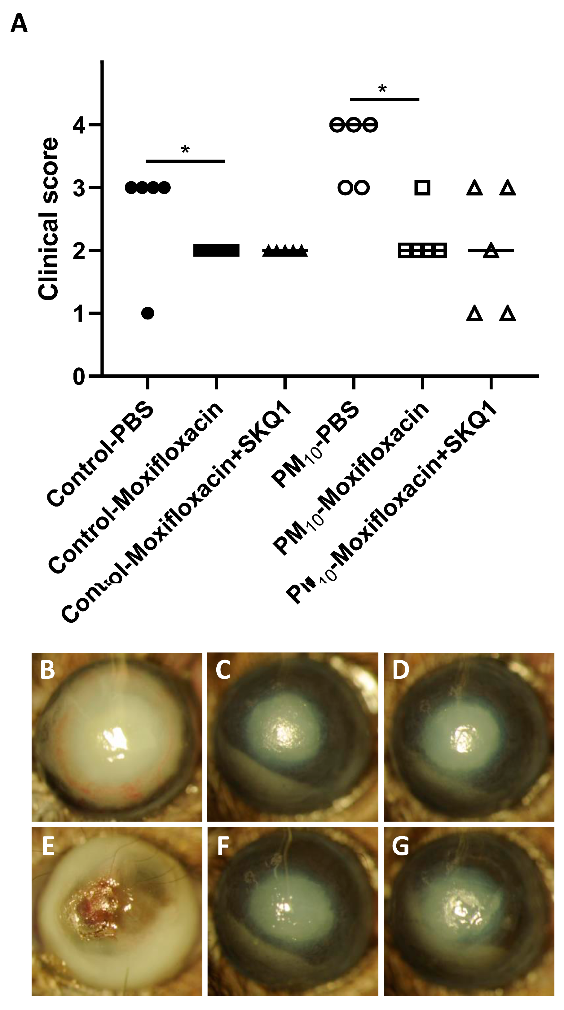 Ijerph 21 00722 g007