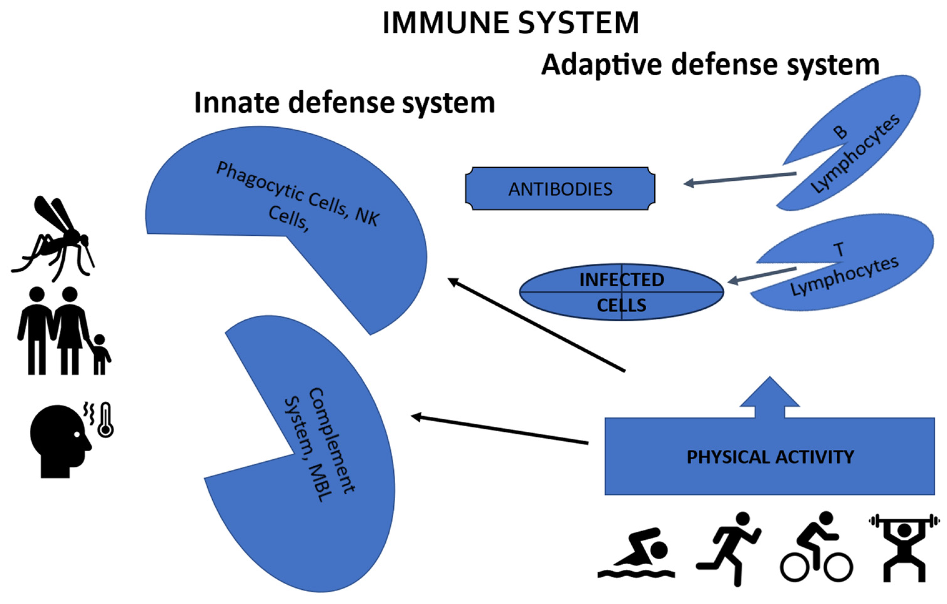 Ijerph 21 00727 g001