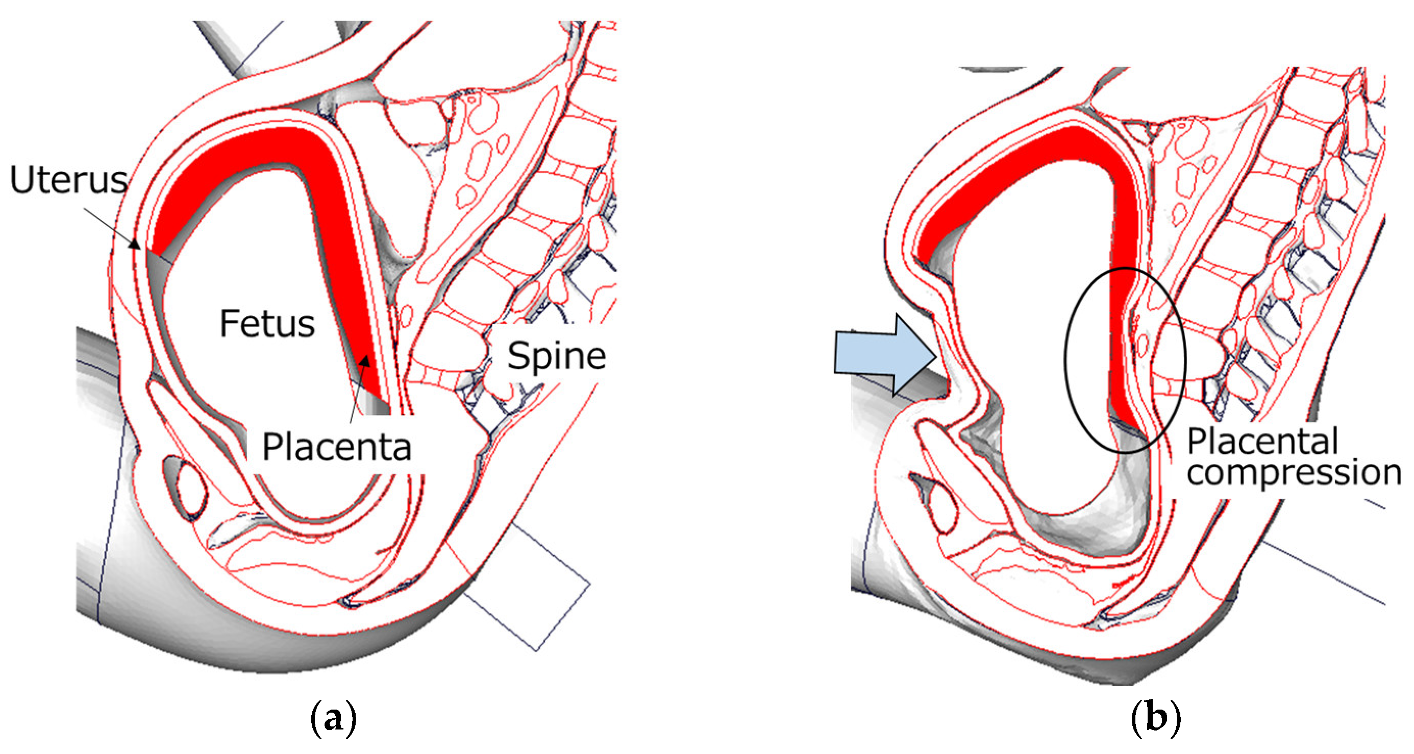 Ijerph 21 00827 g009