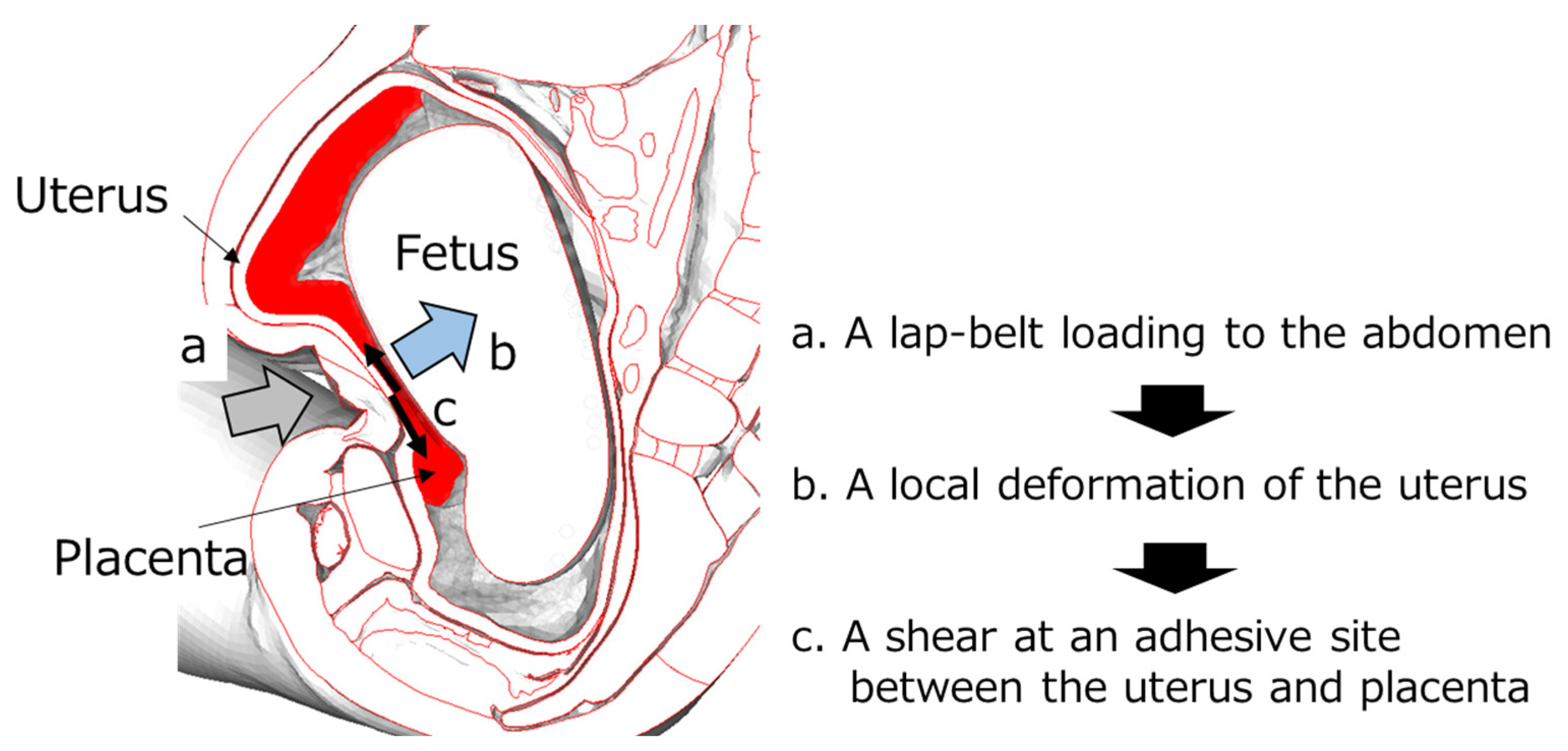 Ijerph 21 00827 g011