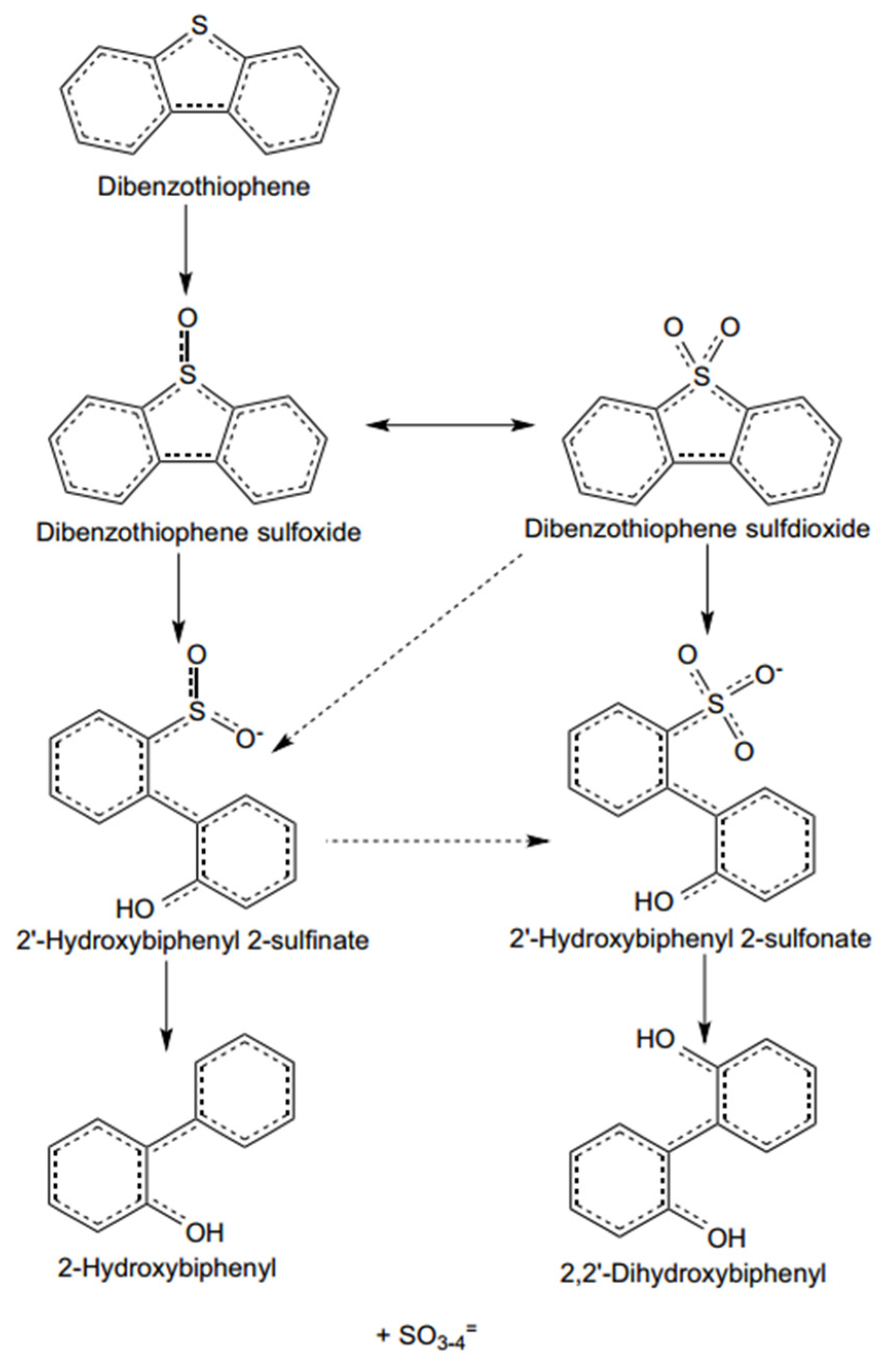 Ijerph 21 00914 g004