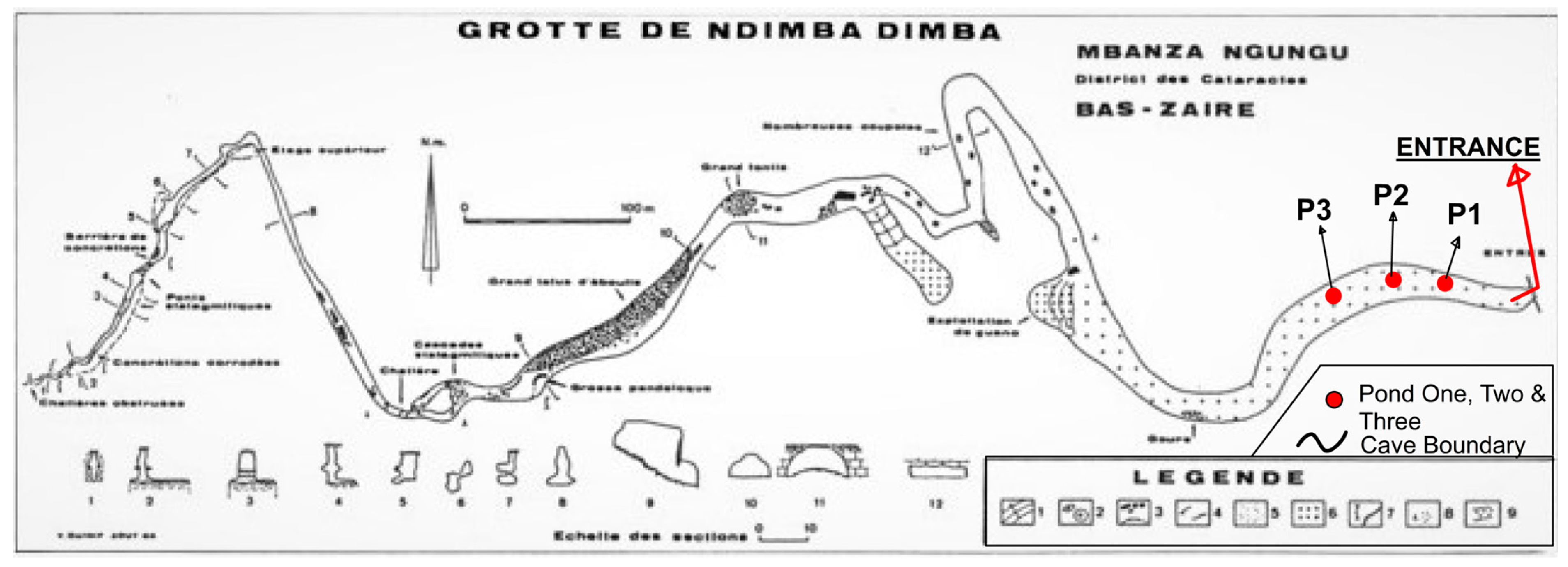 Ijerph 21 00962 g002