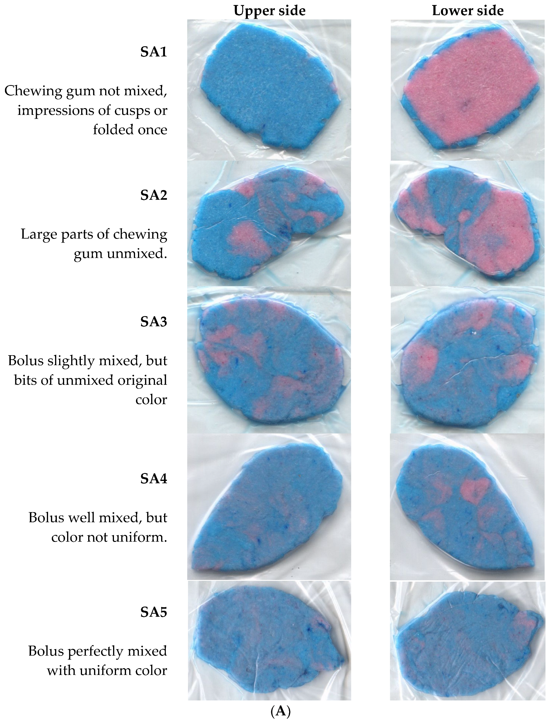 Ijerph 21 00995 g001a