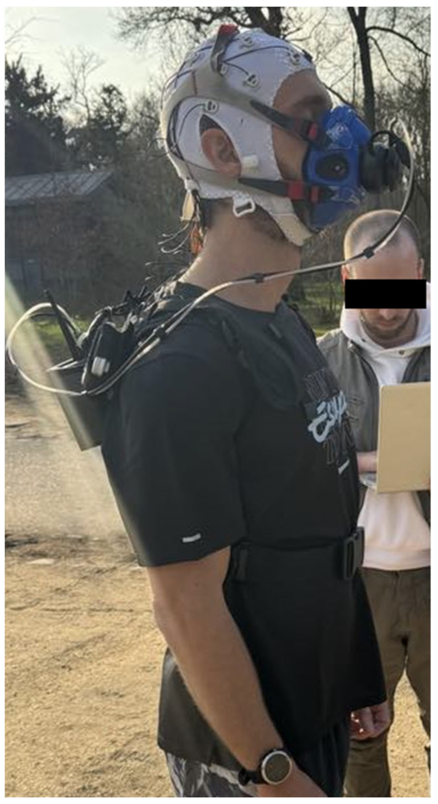 Ijerph 21 01024 g001