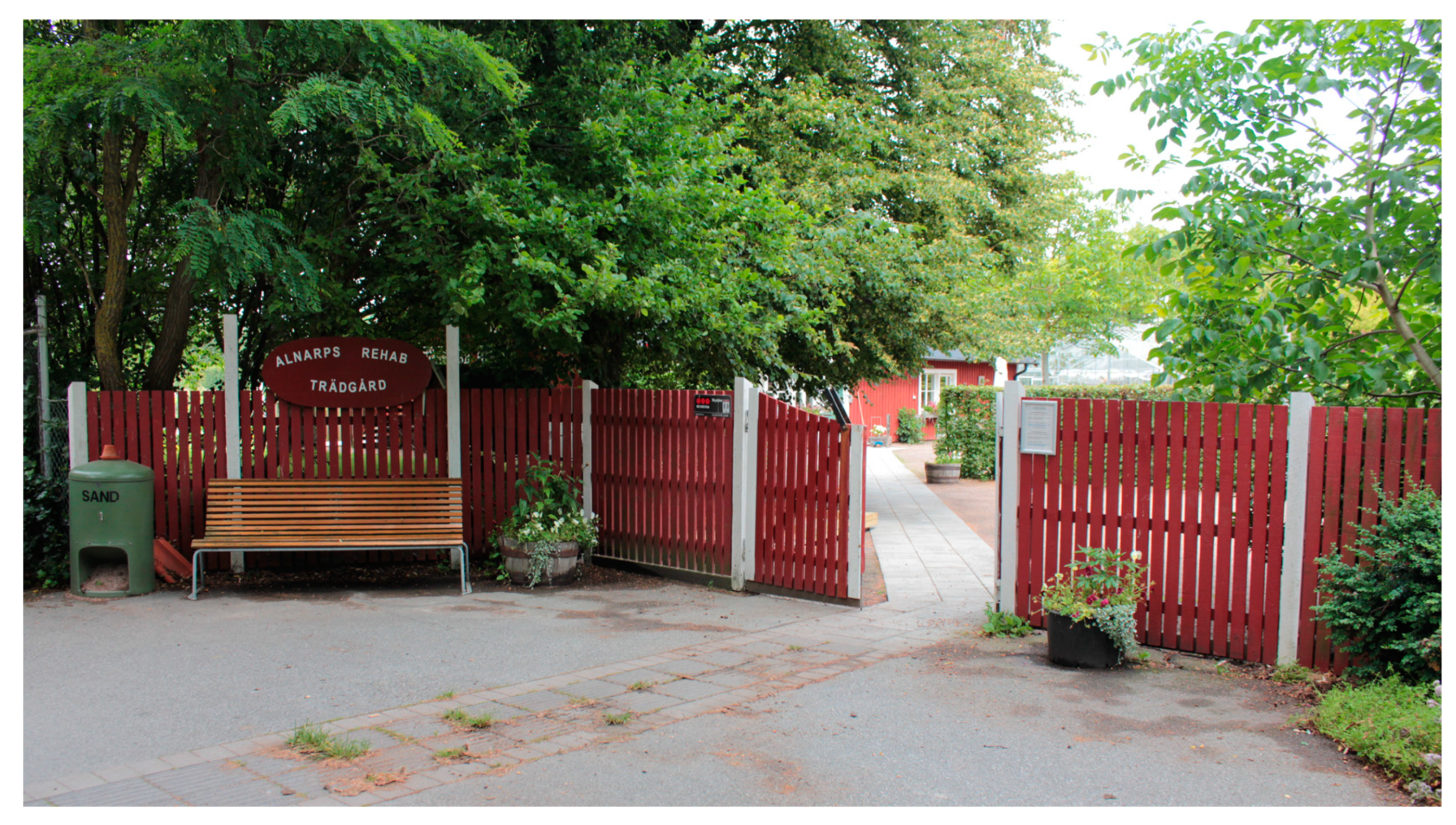 Ijerph 21 01047 g003