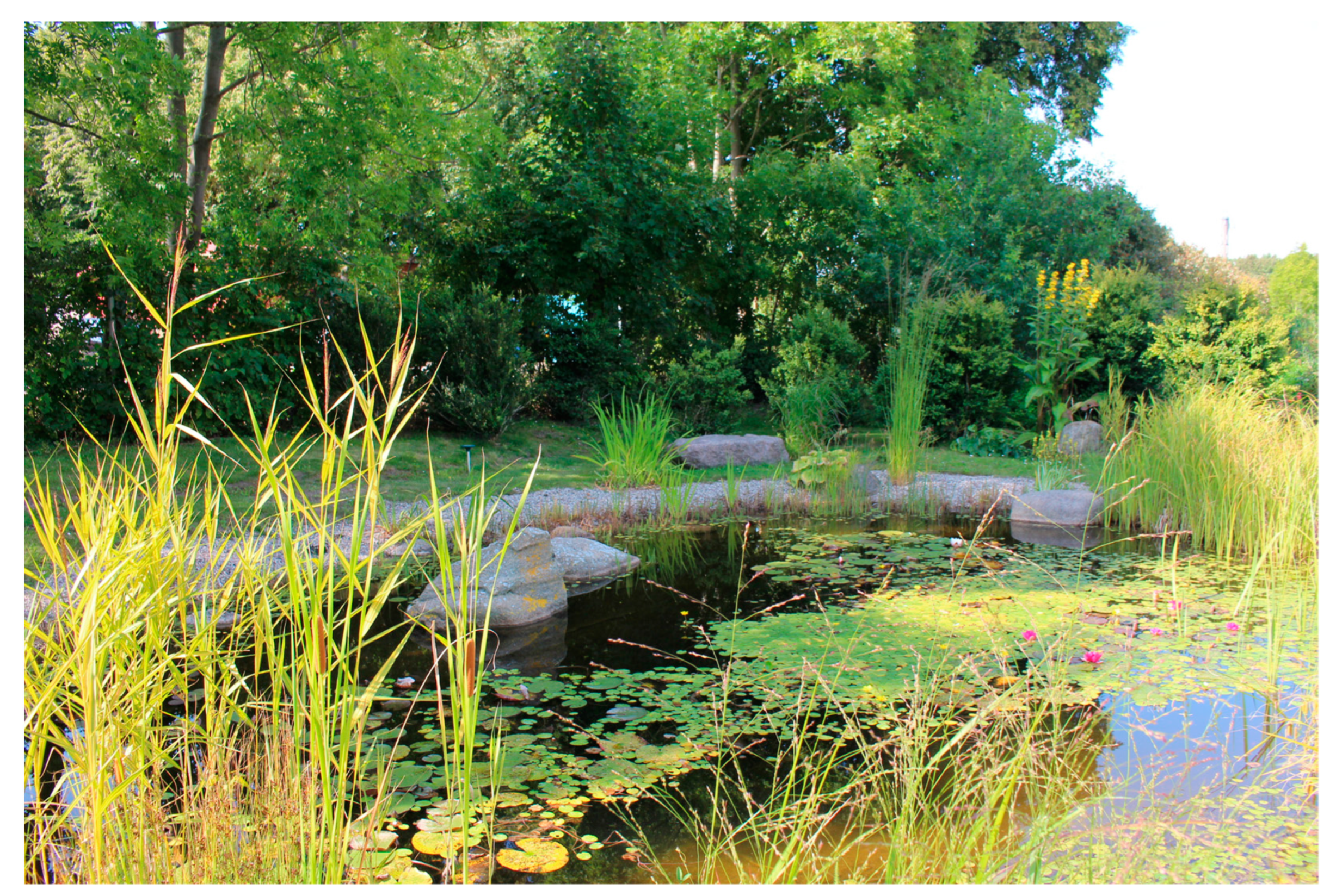 Ijerph 21 01047 g004