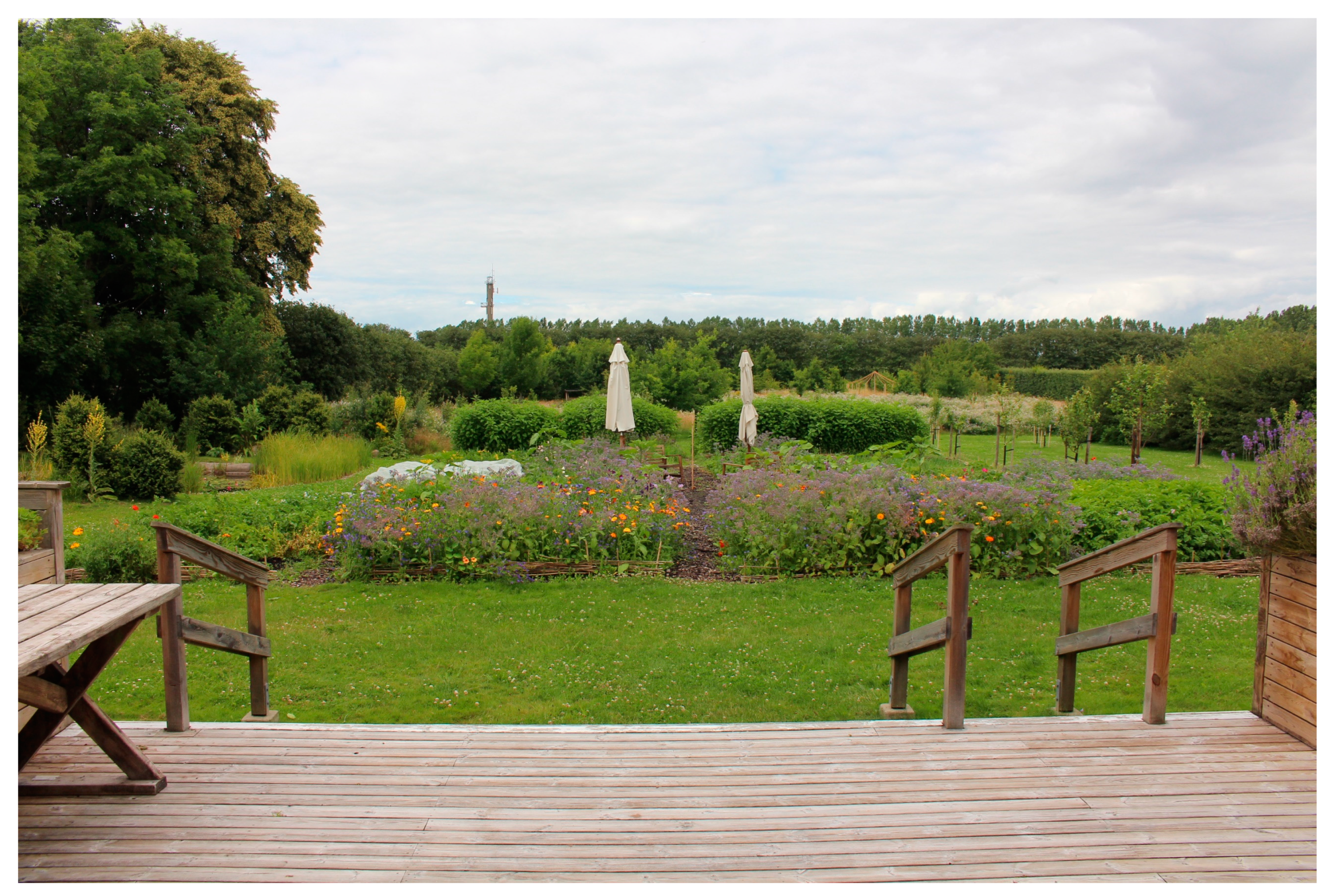 Ijerph 21 01047 g009