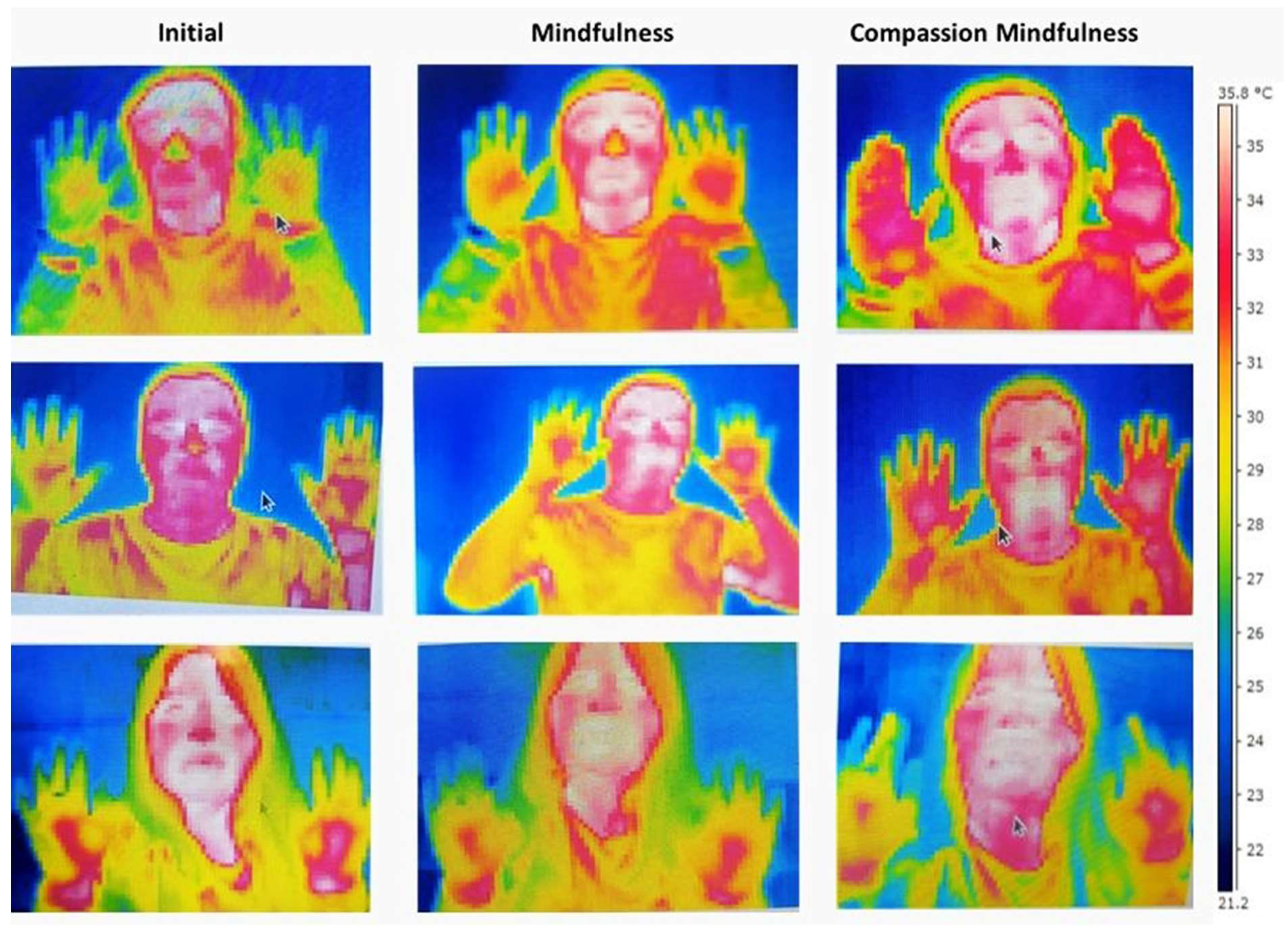 Ijerph 21 01064 g006