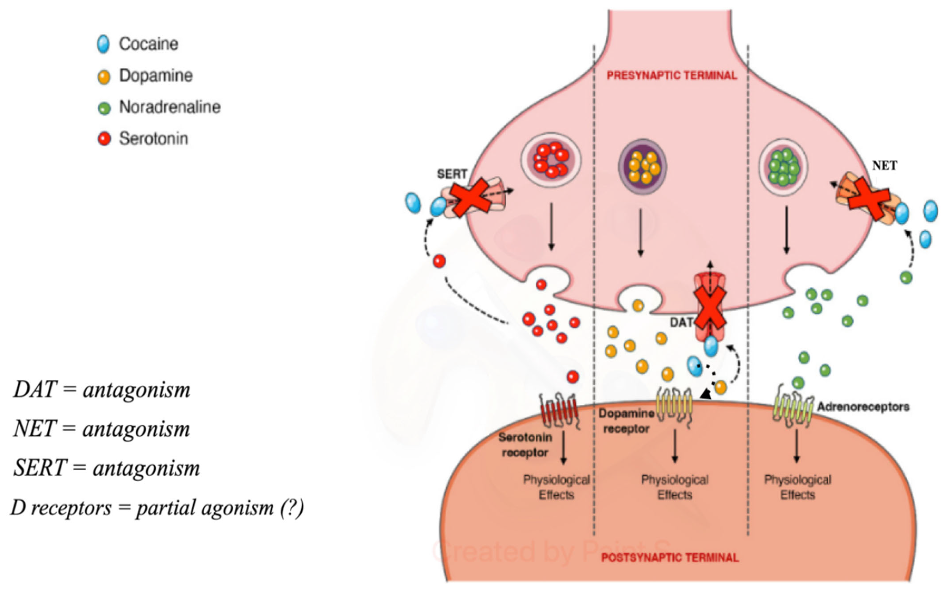 Ijerph 21 01105 g002