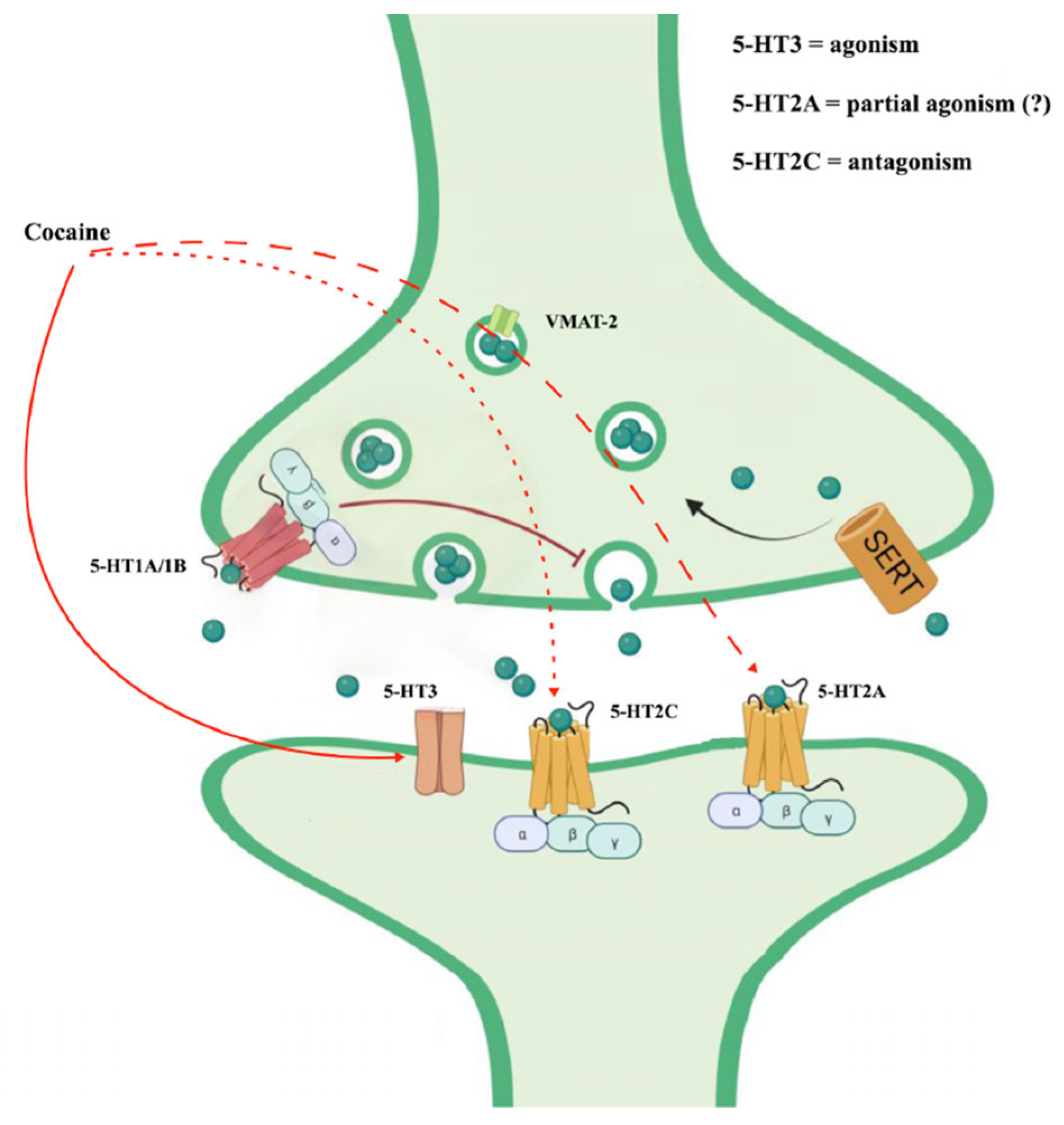 Ijerph 21 01105 g003