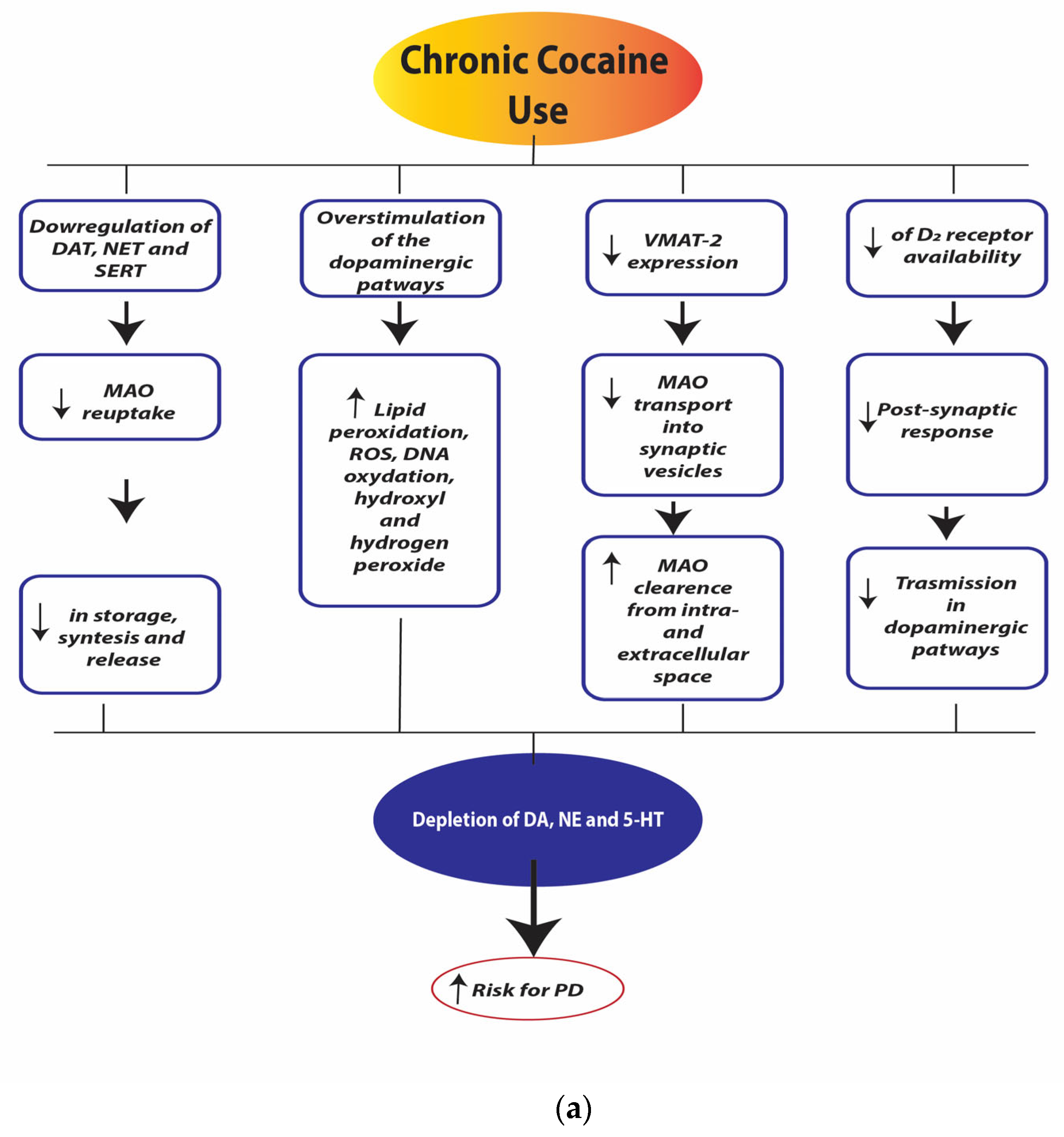 Ijerph 21 01105 g004a