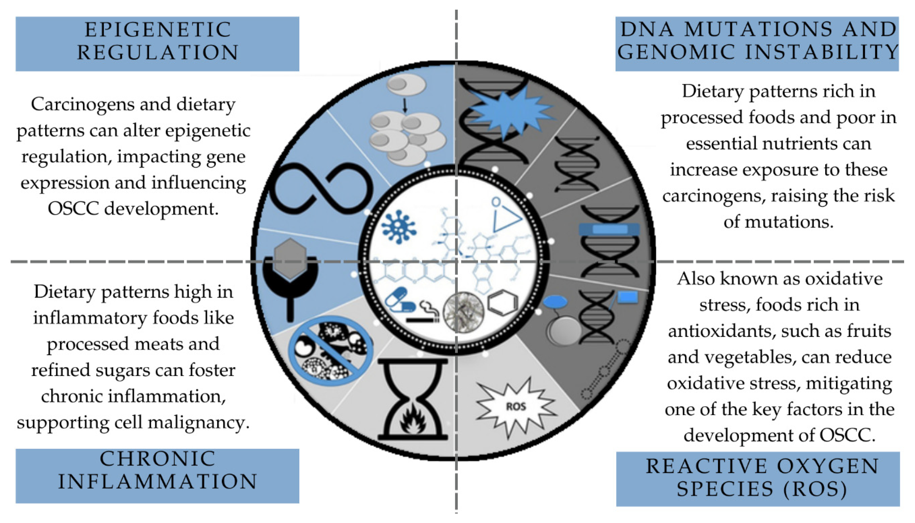 Ijerph 21 01199 g002