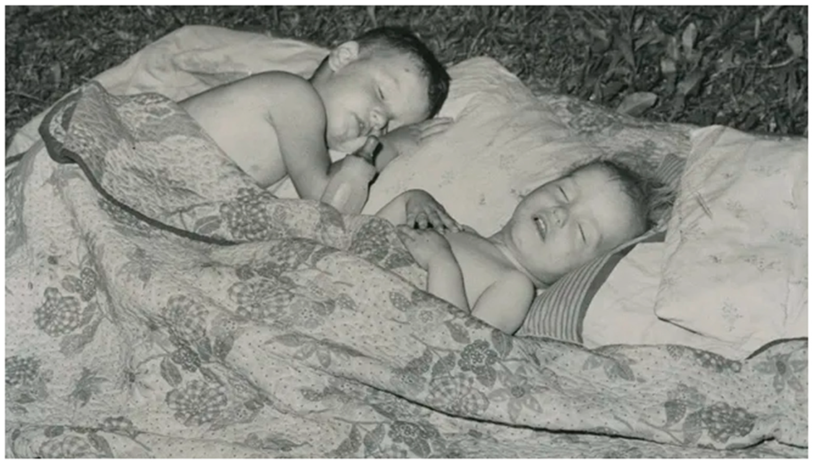 Ijerph 21 01270 g001