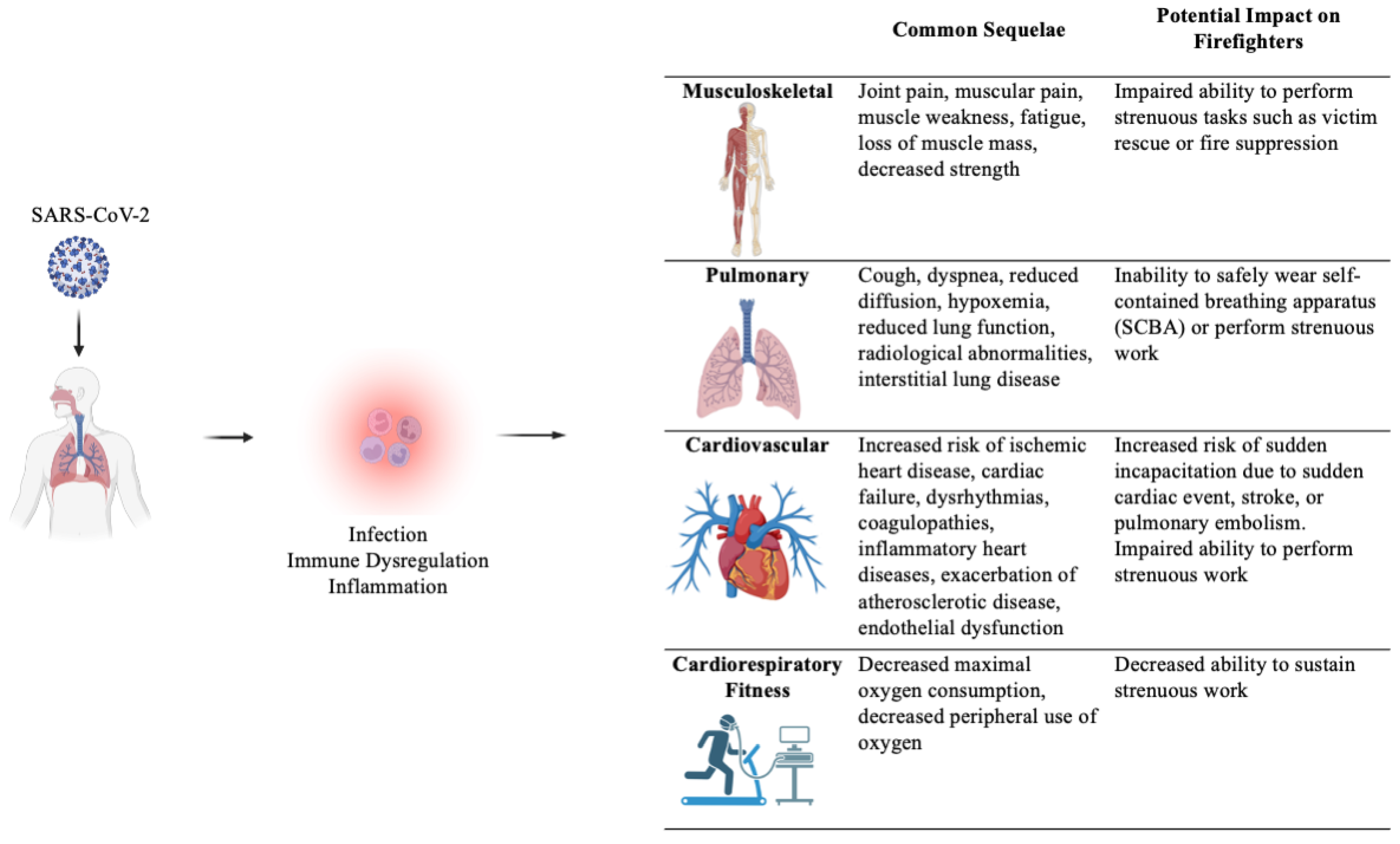Ijerph 21 01383 g001