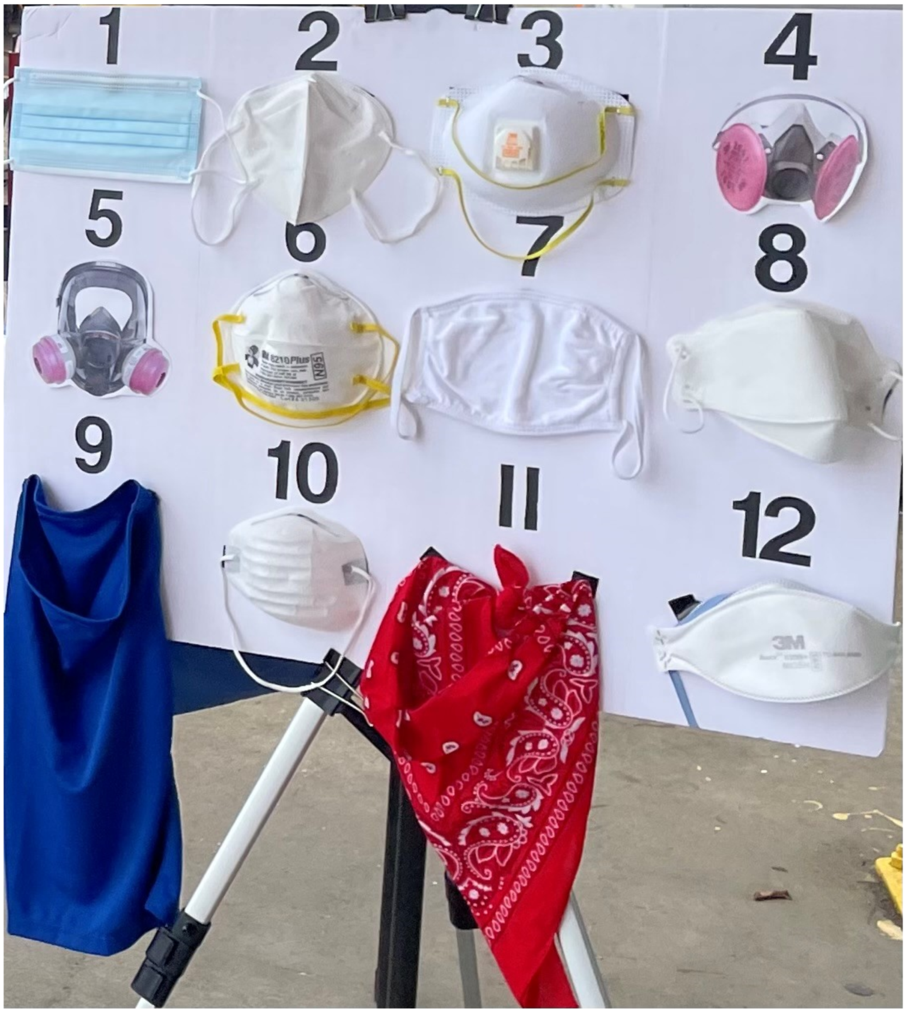 Ijerph 21 01412 g002