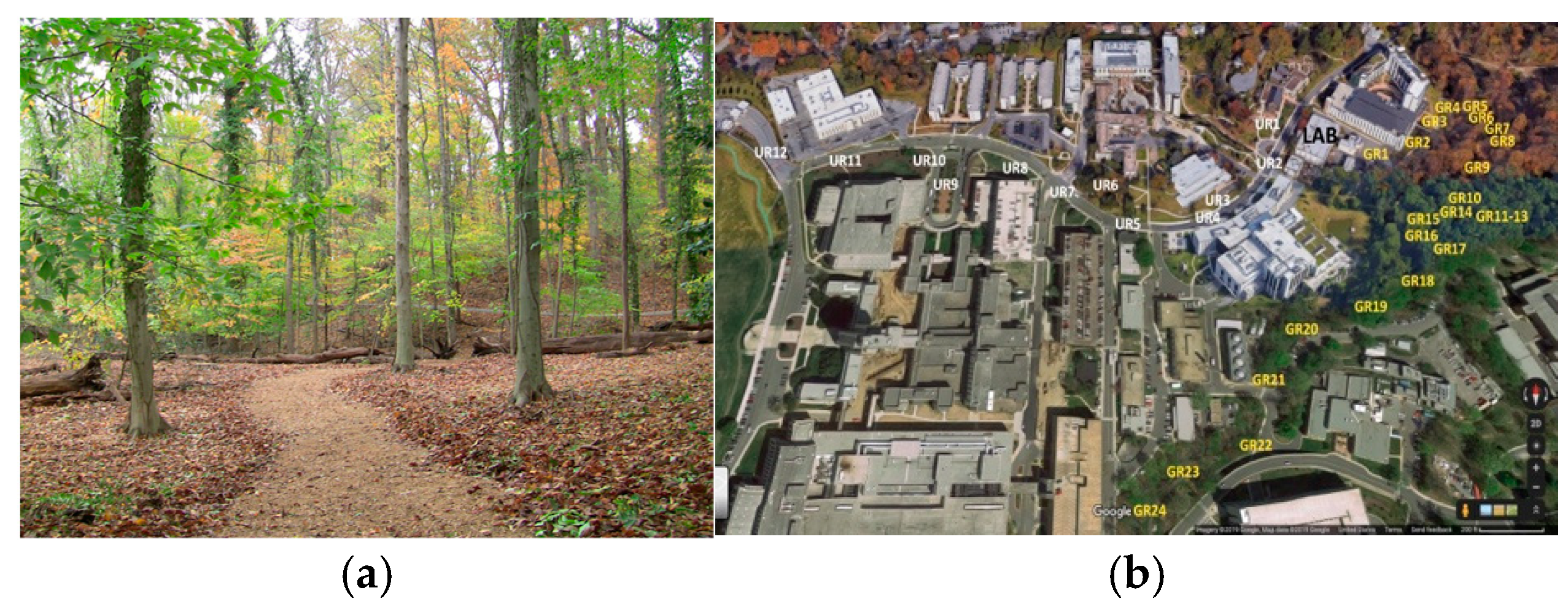 Ijerph 21 01491 g001