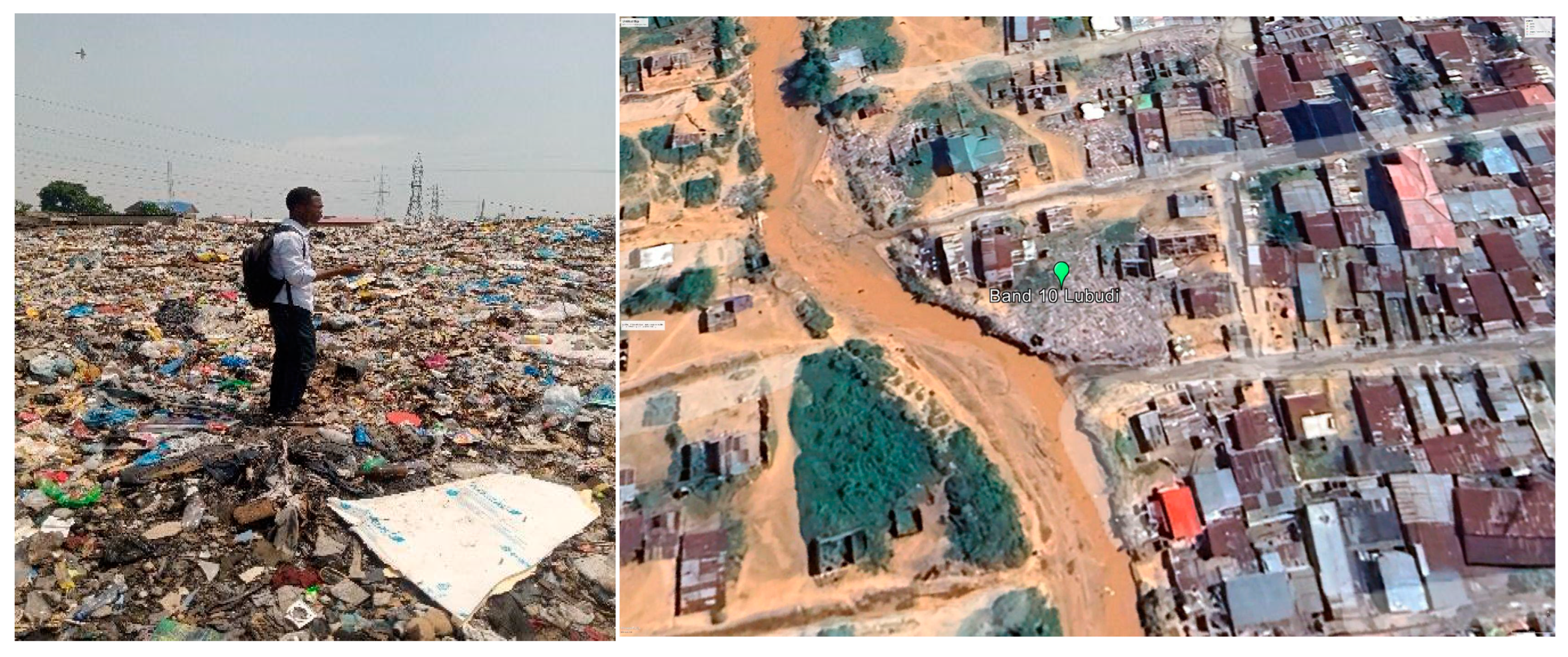 Ijerph 21 01495 g005