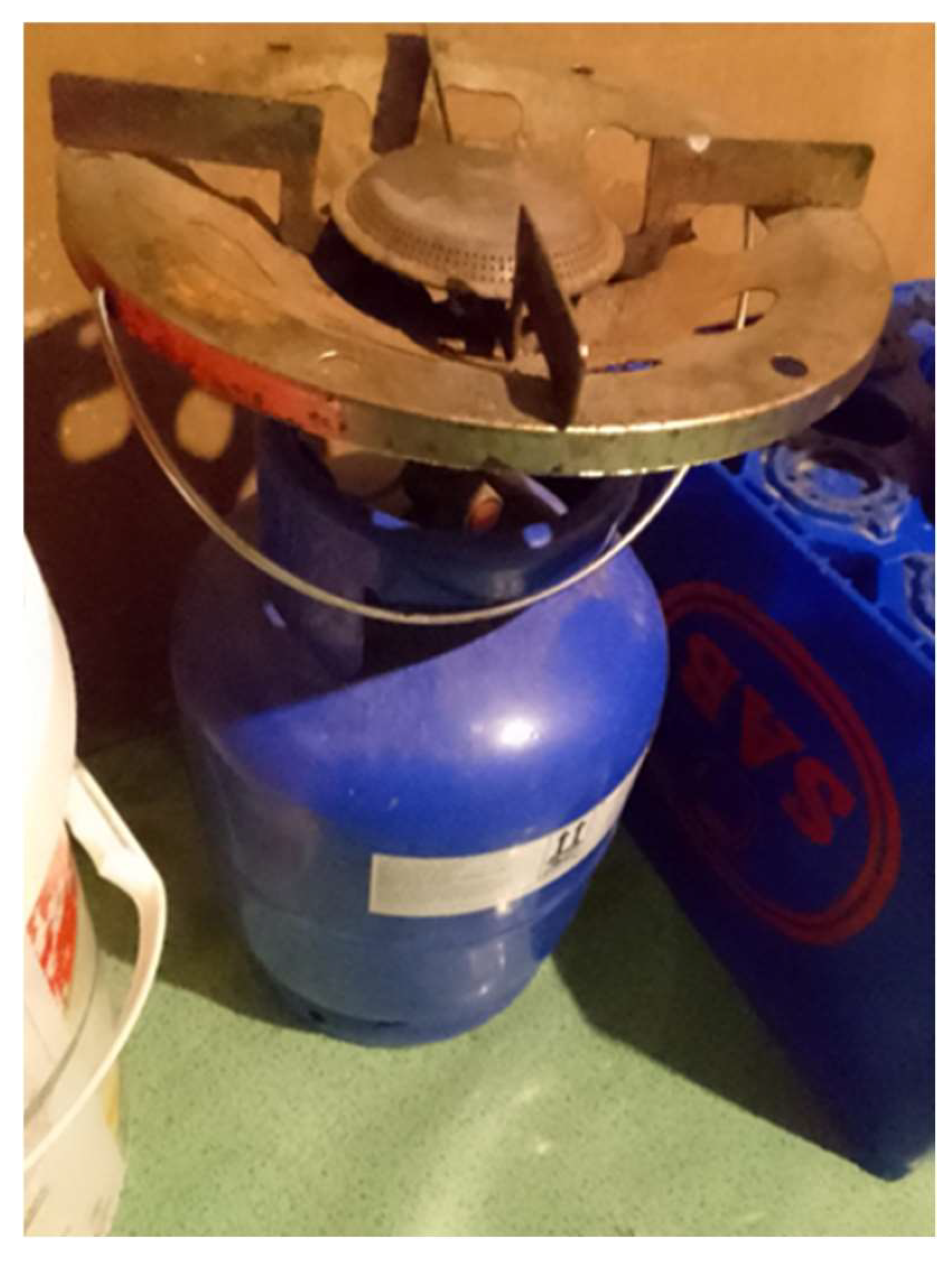 Ijerph 21 01517 g003