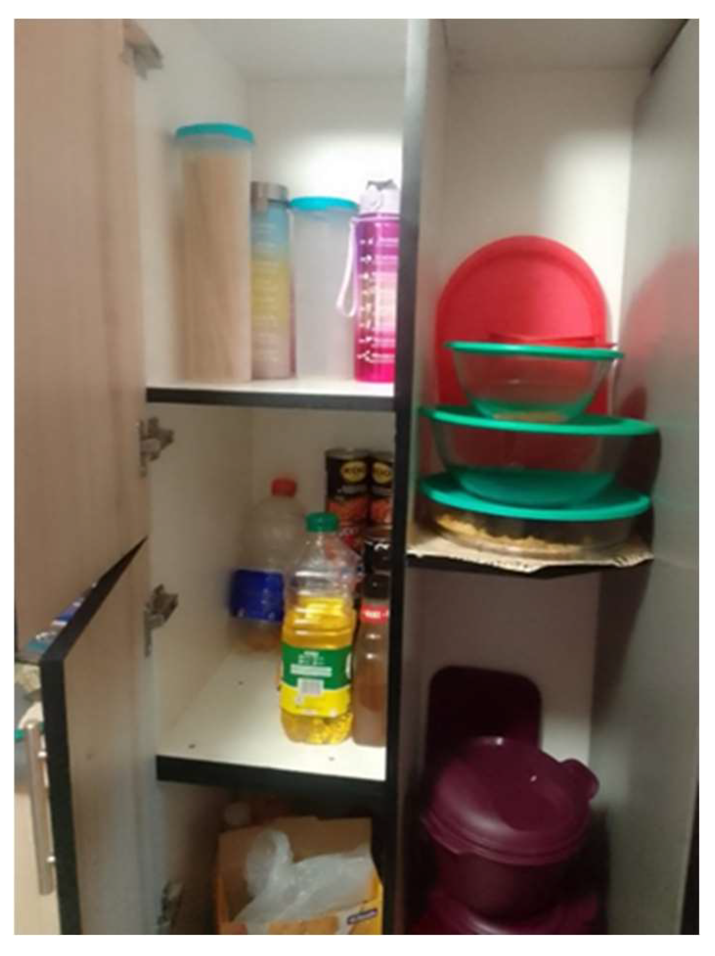 Ijerph 21 01517 g007