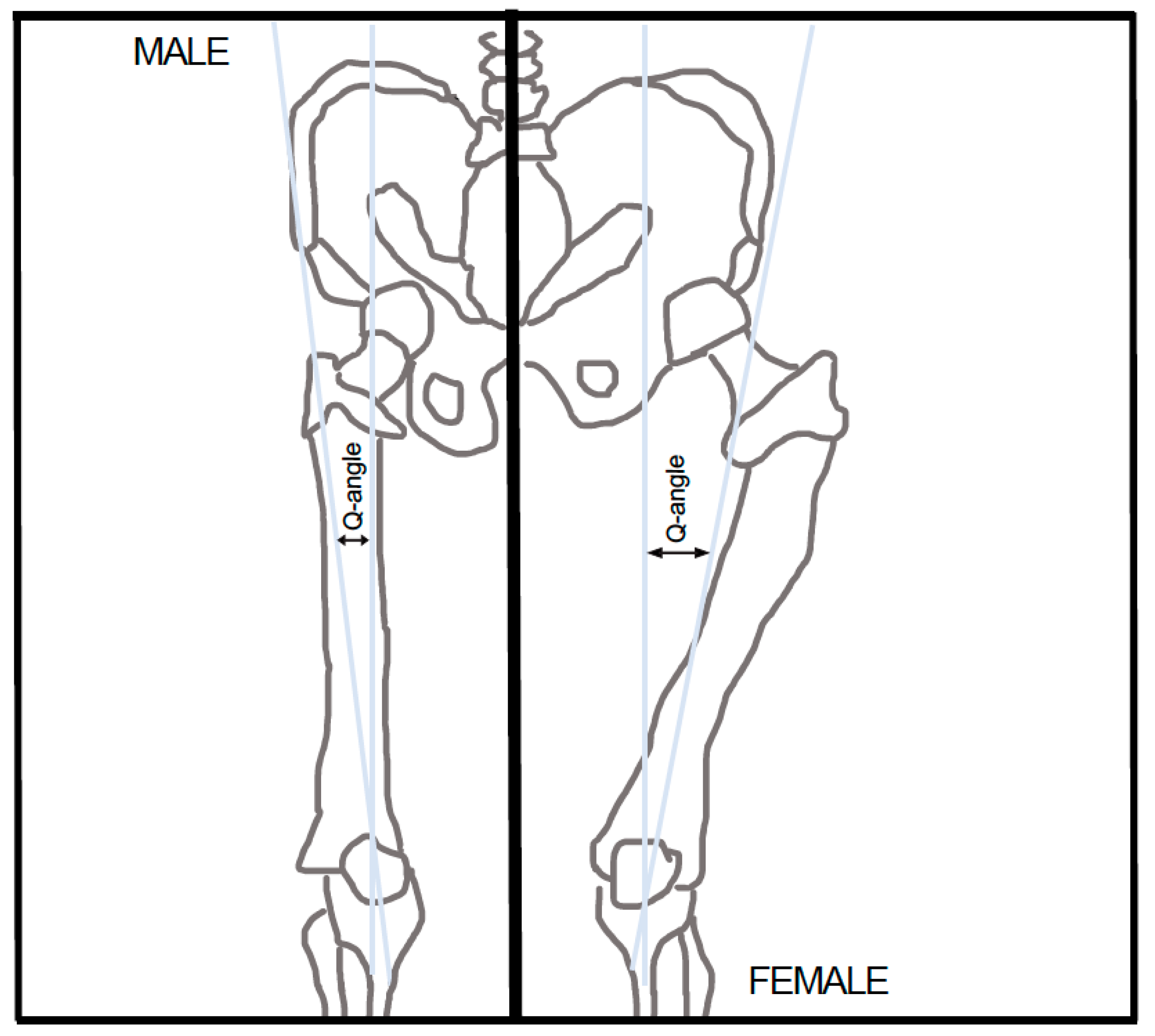 Ijerph 21 01547 g001