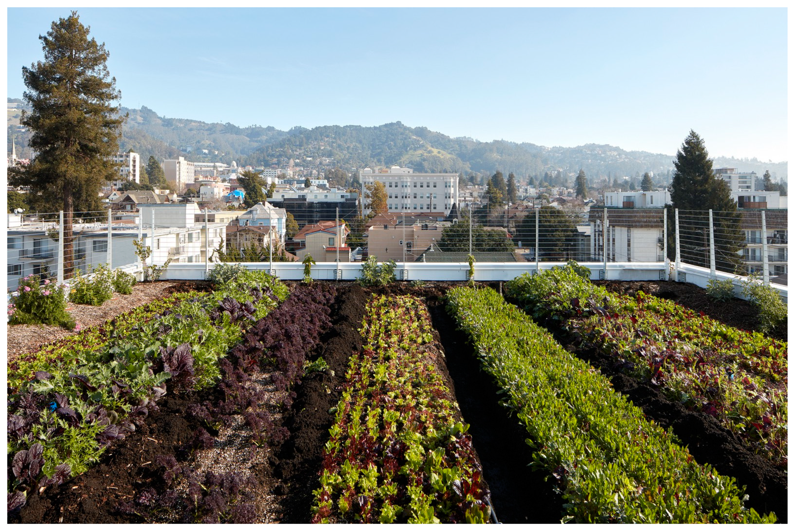 Ijerph 21 01591 g010