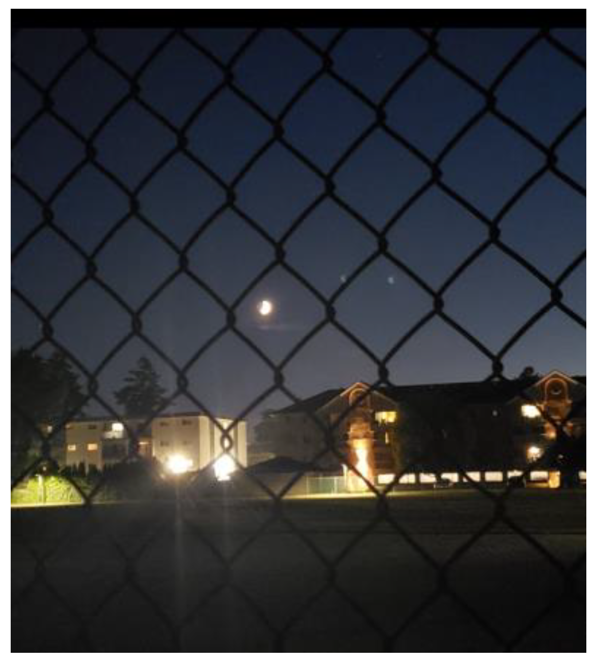 Ijerph 21 01600 g001