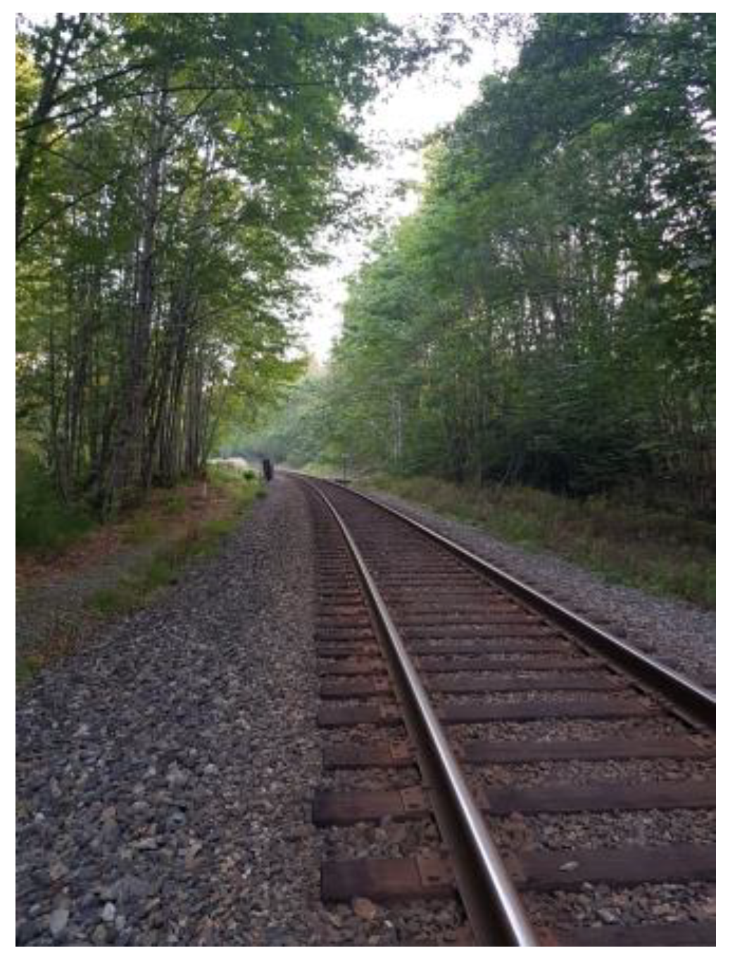 Ijerph 21 01600 g002