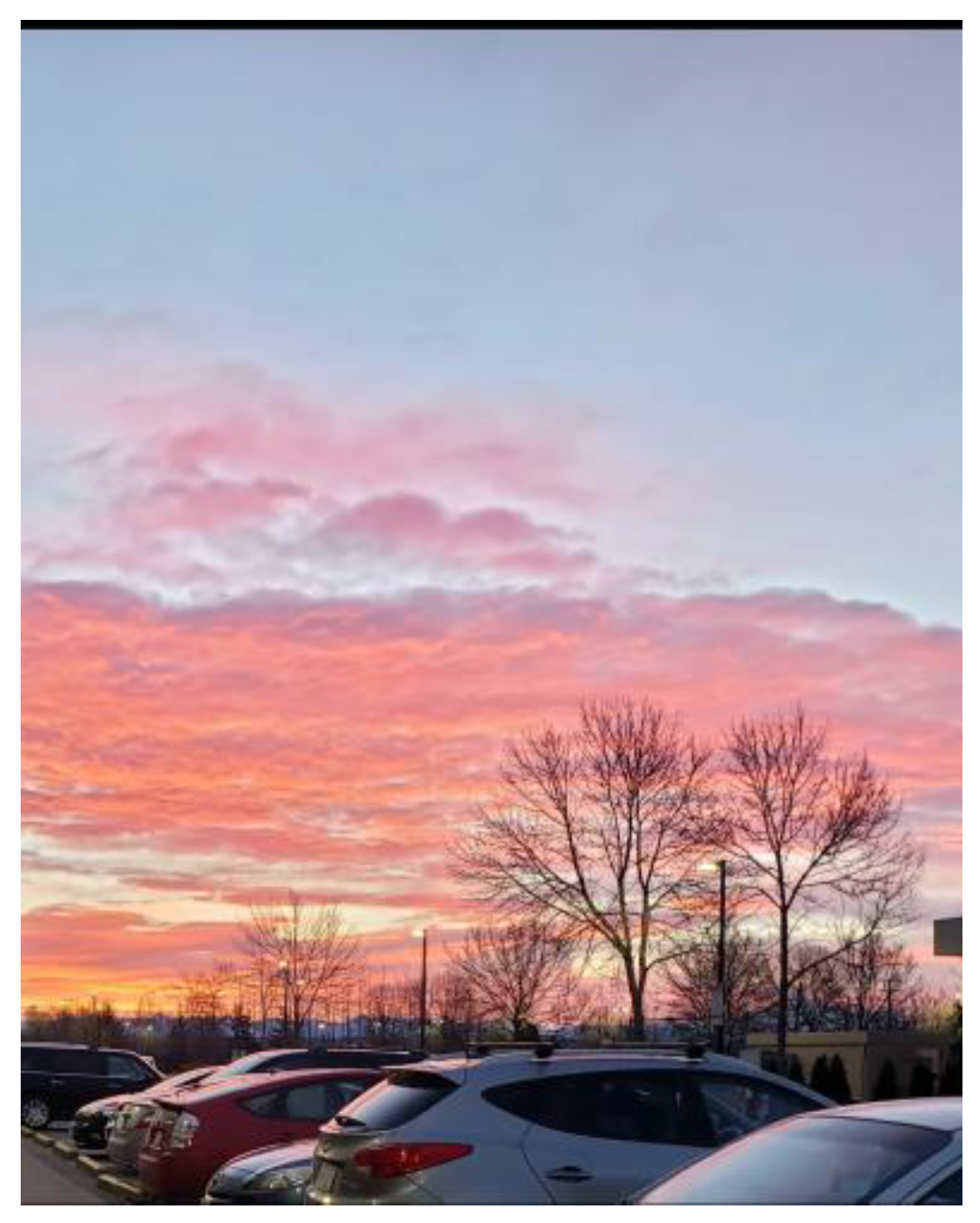 Ijerph 21 01600 g009