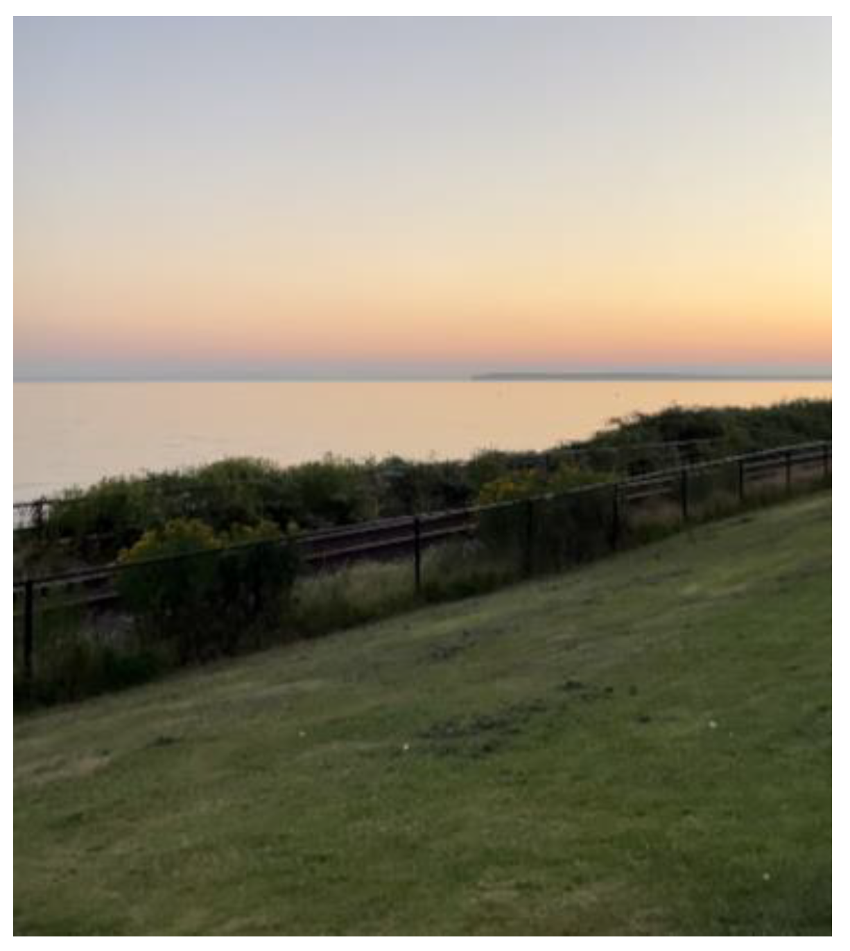 Ijerph 21 01600 g010