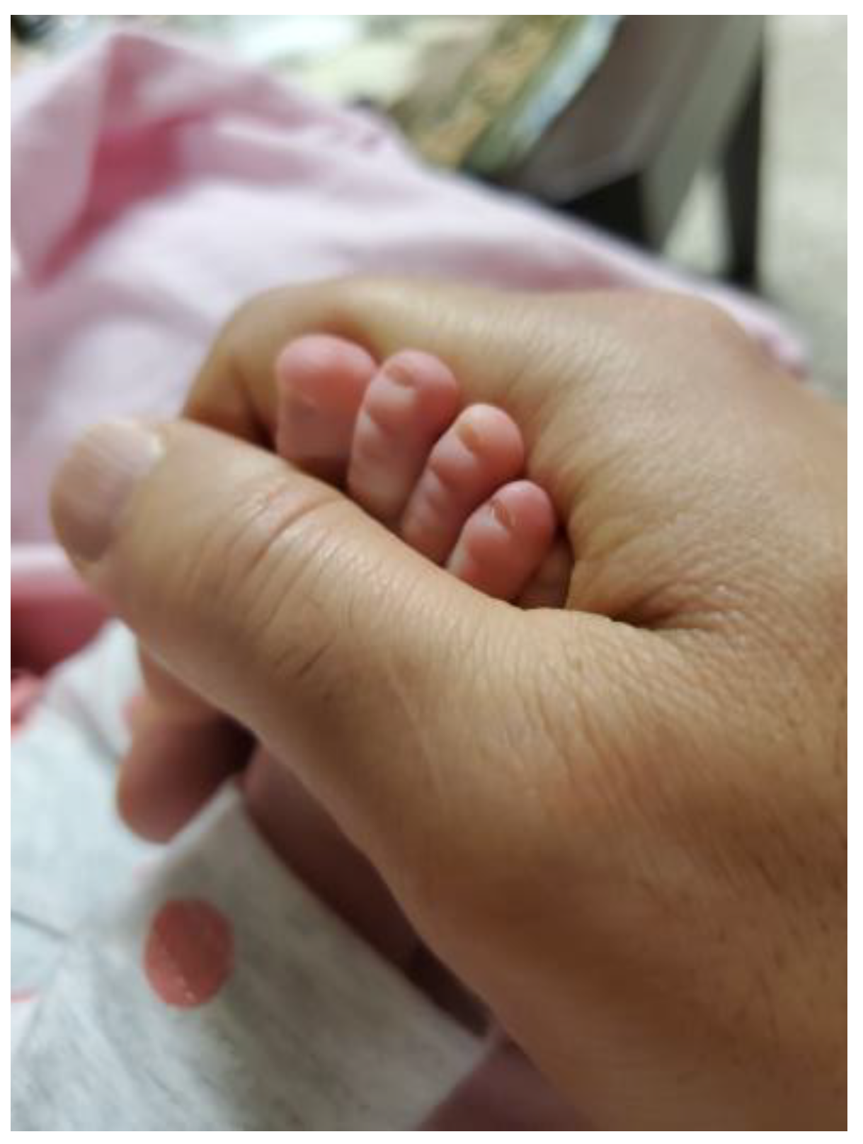 Ijerph 21 01600 g012