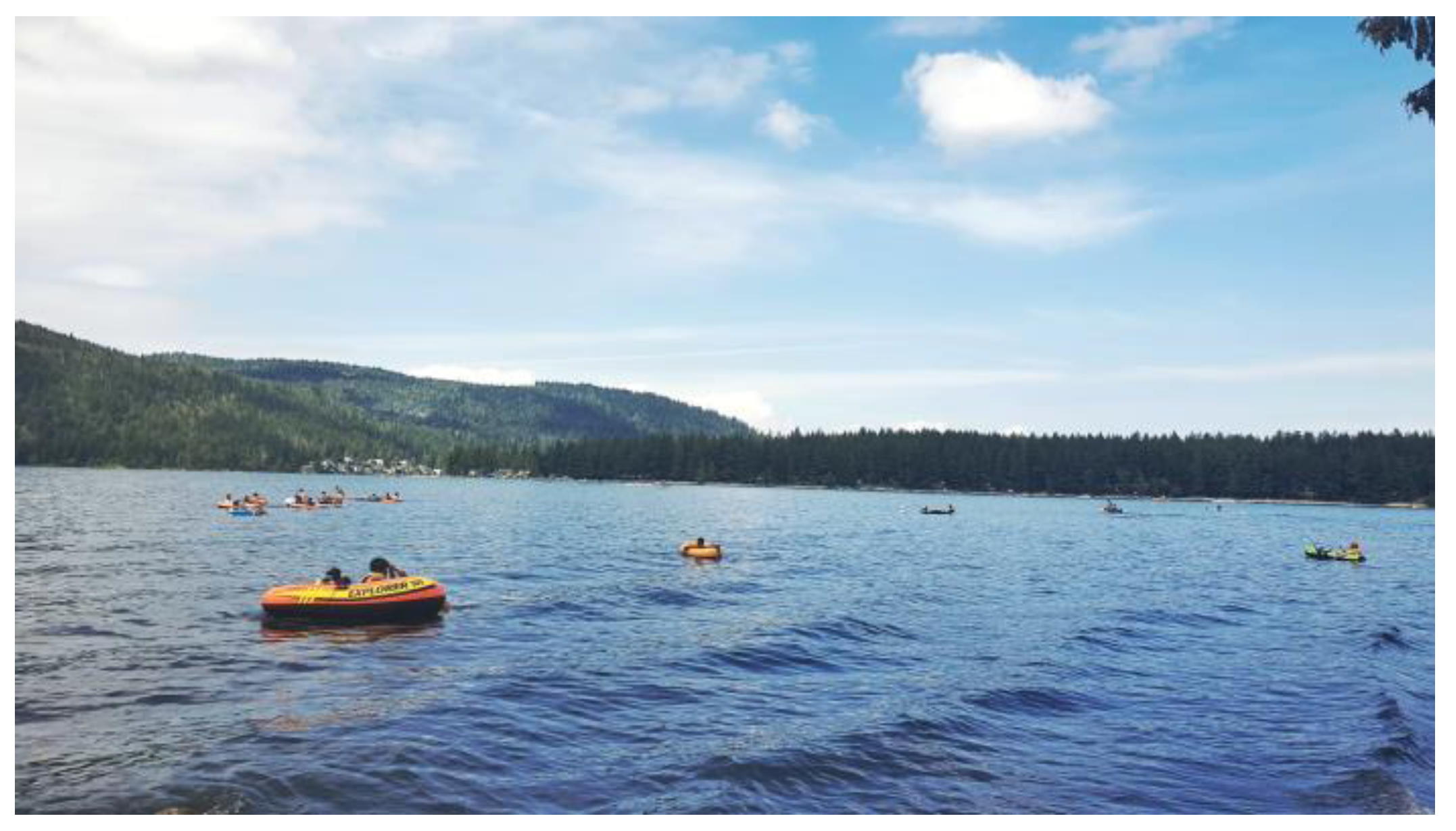 Ijerph 21 01600 g016