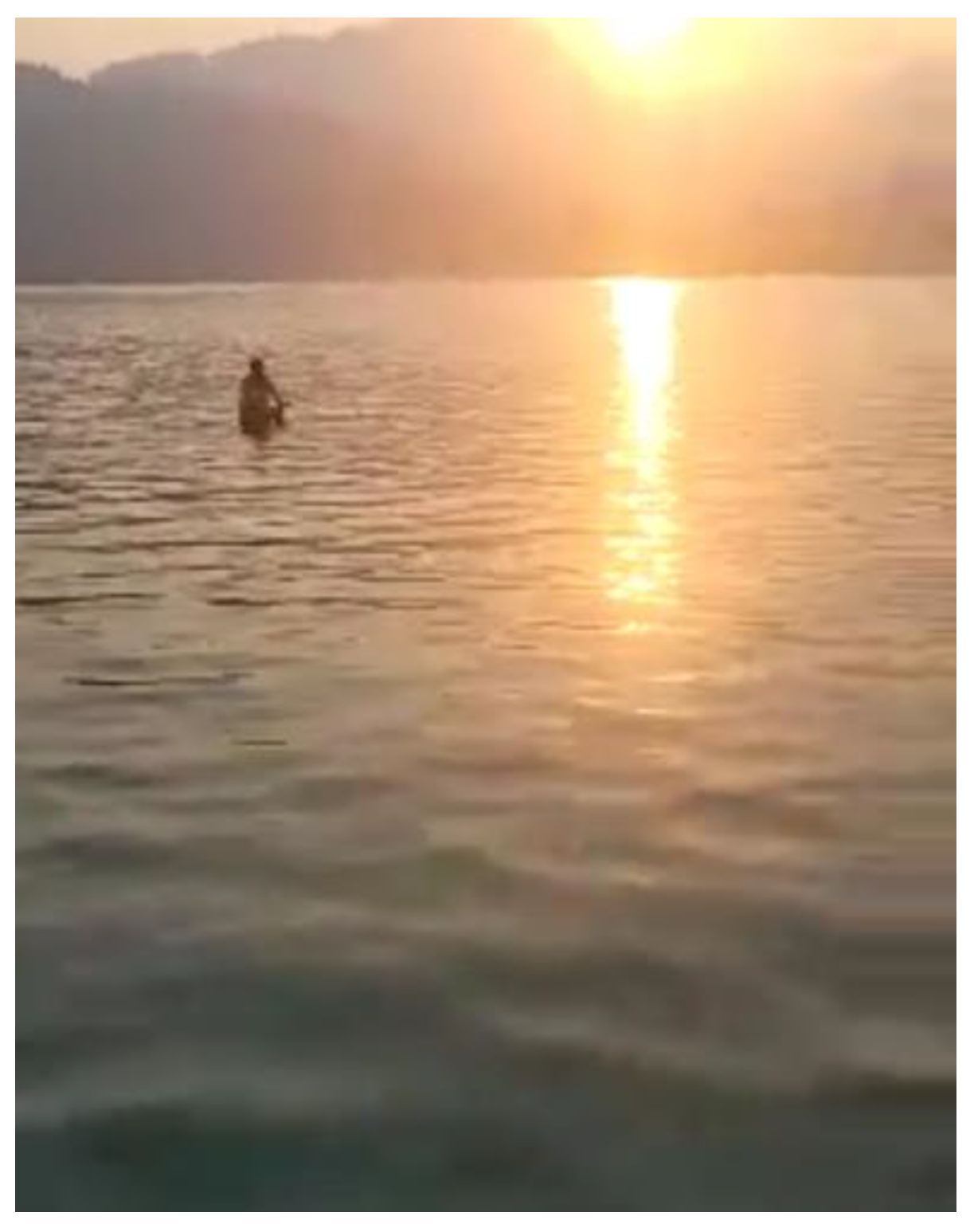 Ijerph 21 01600 g017