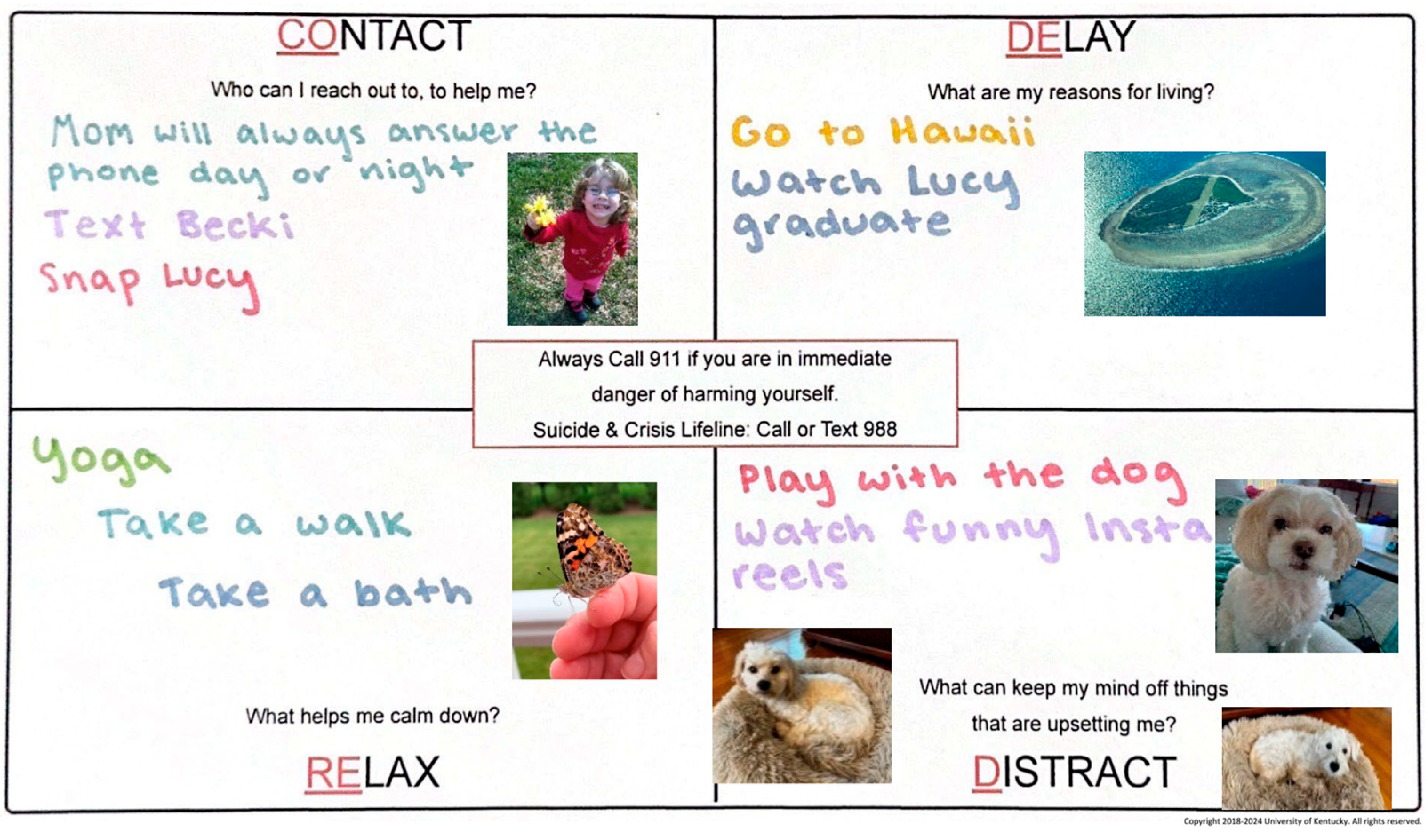 Ijerph 21 01704 g001