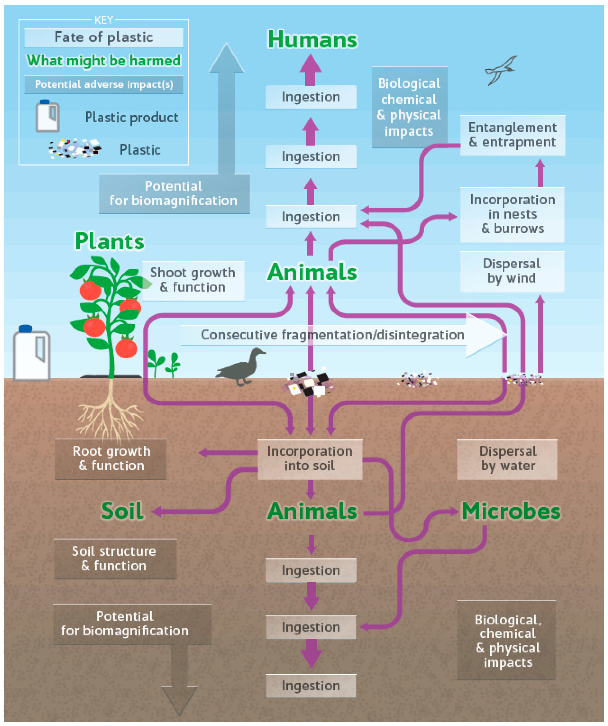 Ijerph 22 00045 g002