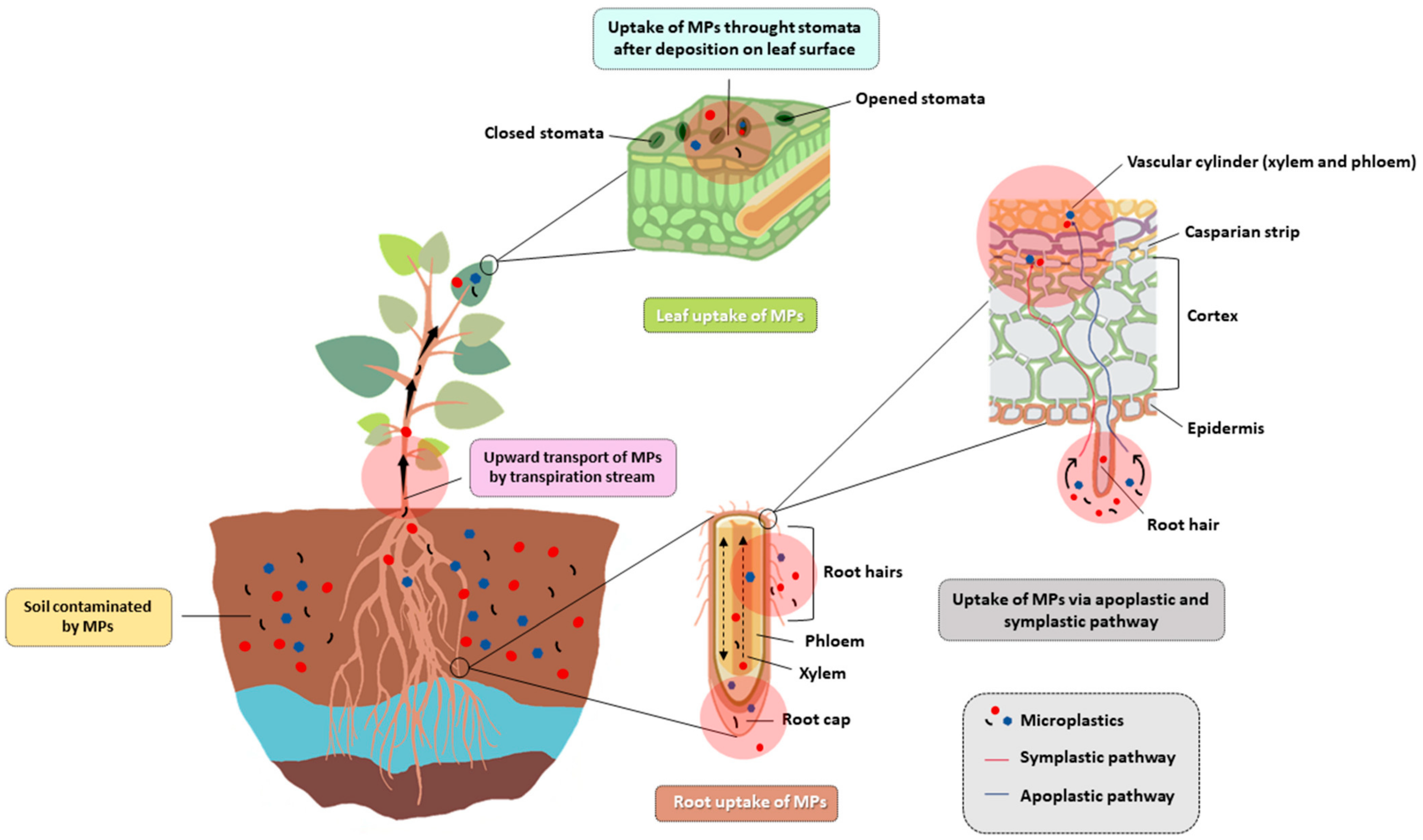 Ijerph 22 00045 g004