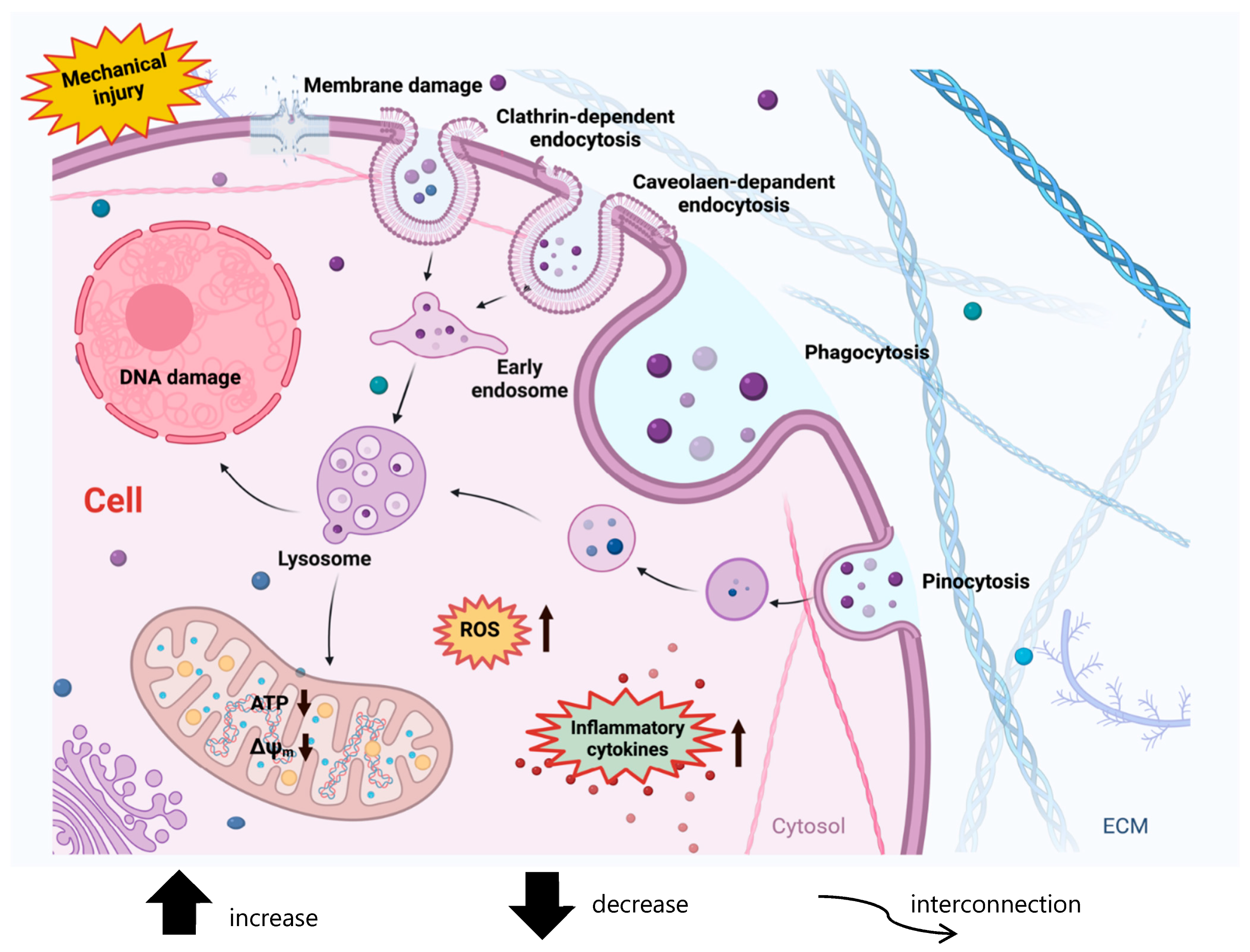 Ijerph 22 00045 g005